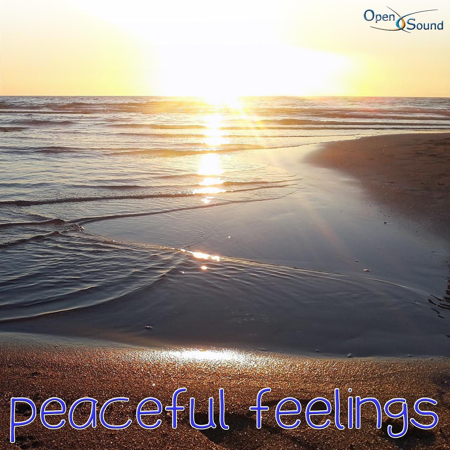 Постер альбома Peaceful Feelings