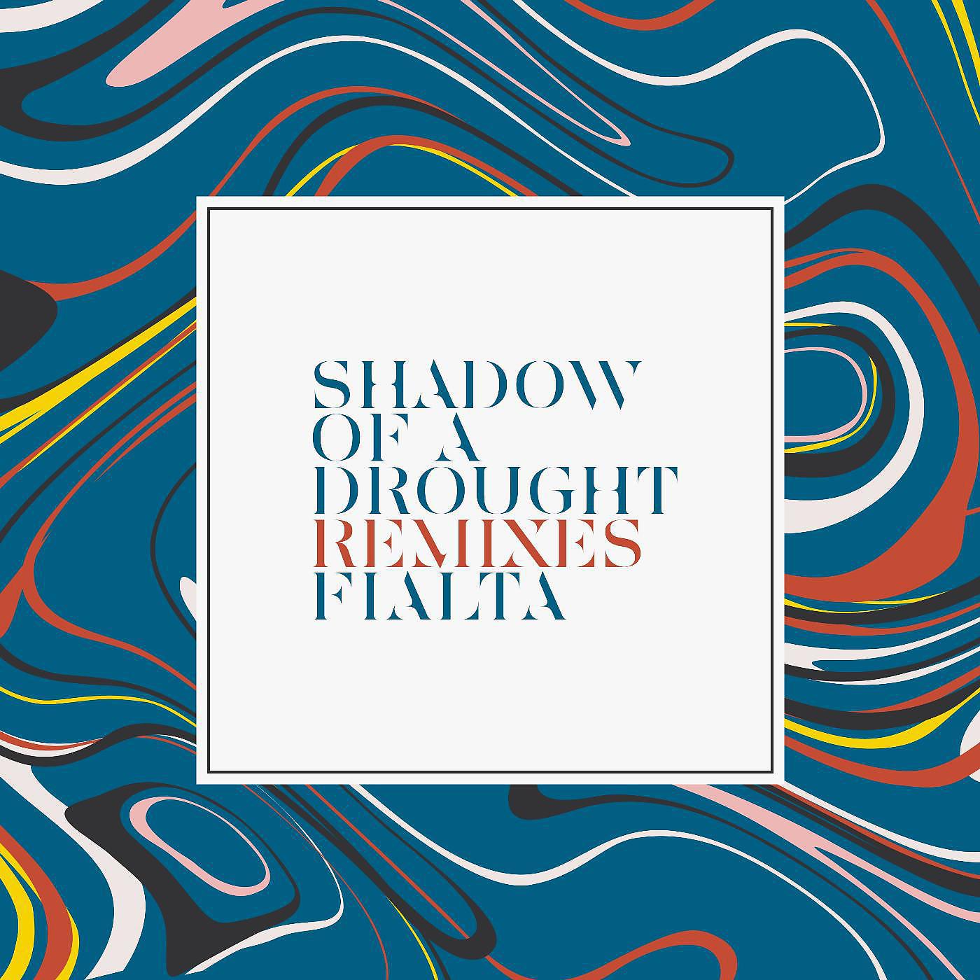 Постер альбома Shadow of a Drought Remixes