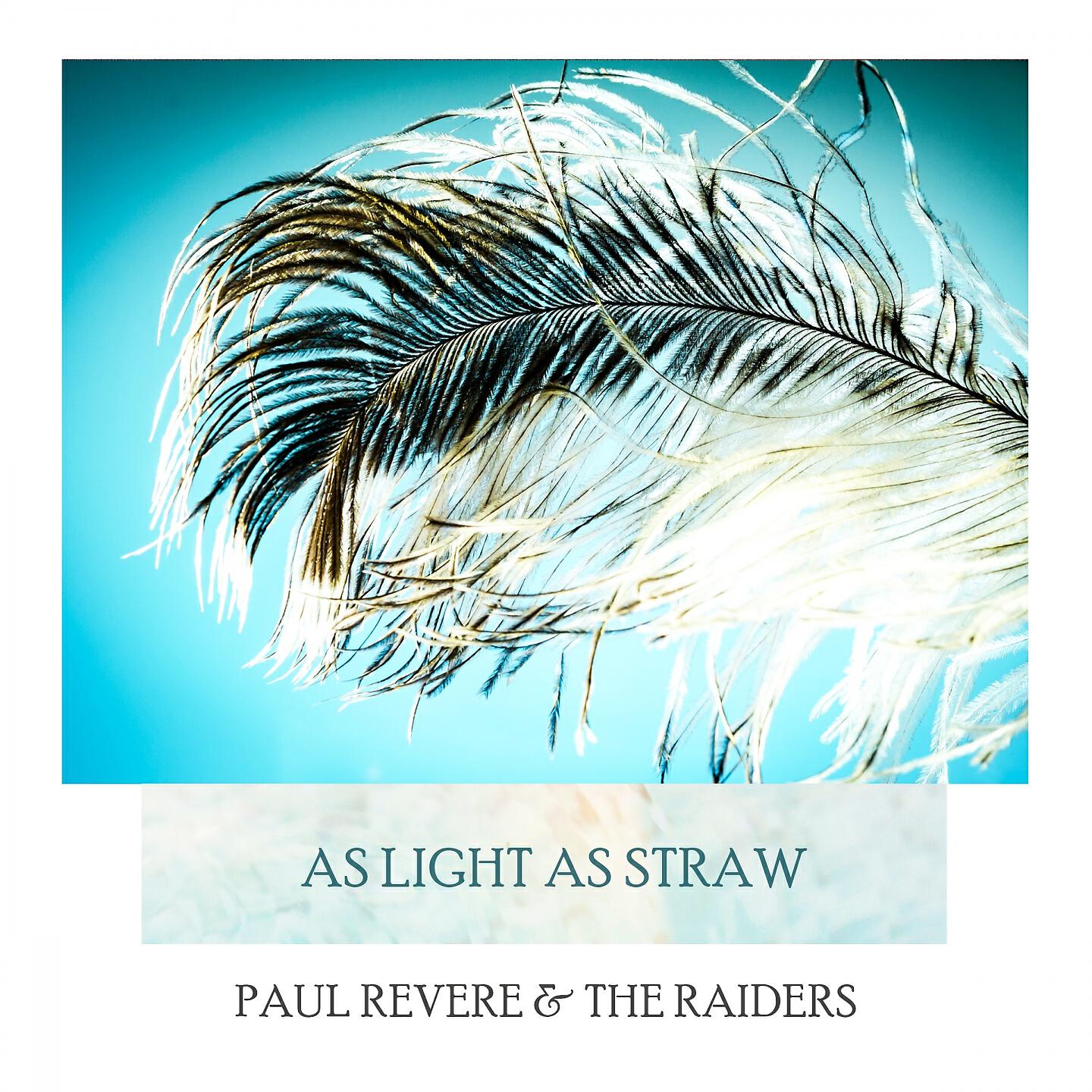 Paul Revere & The Raiders - Road Runner