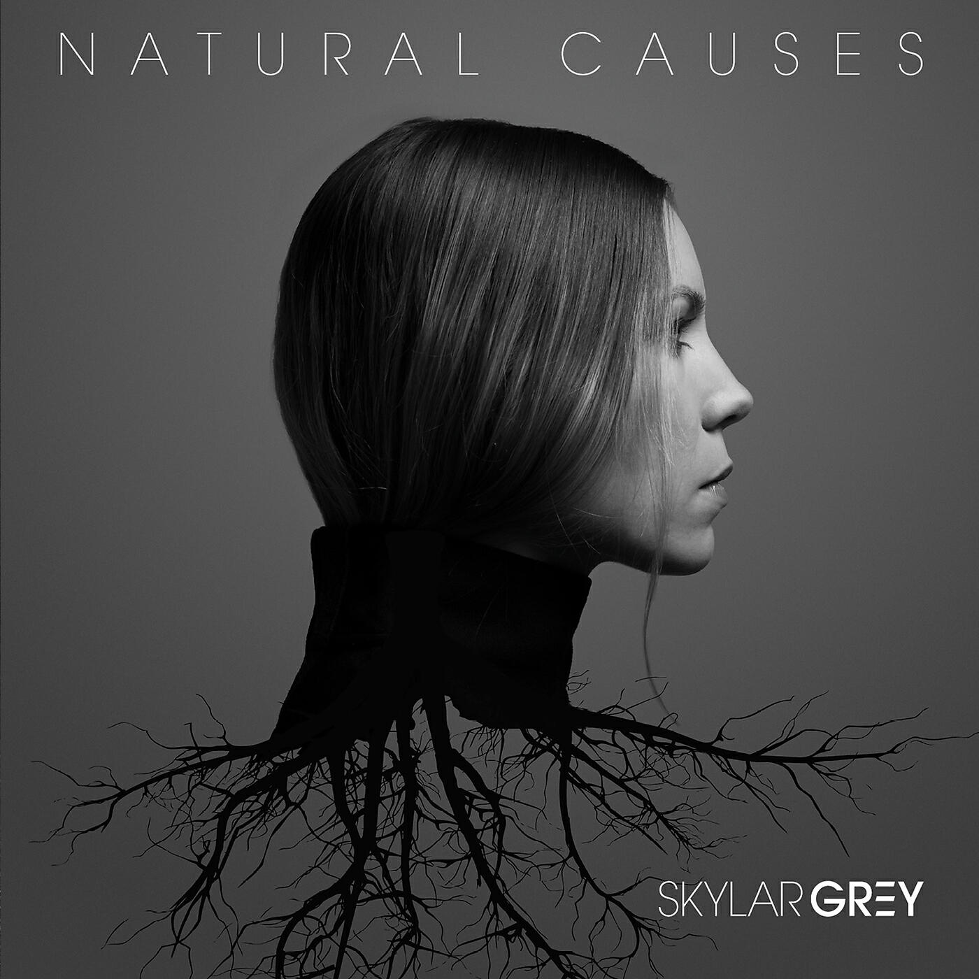 Skylar Grey - Intro - Wilderness