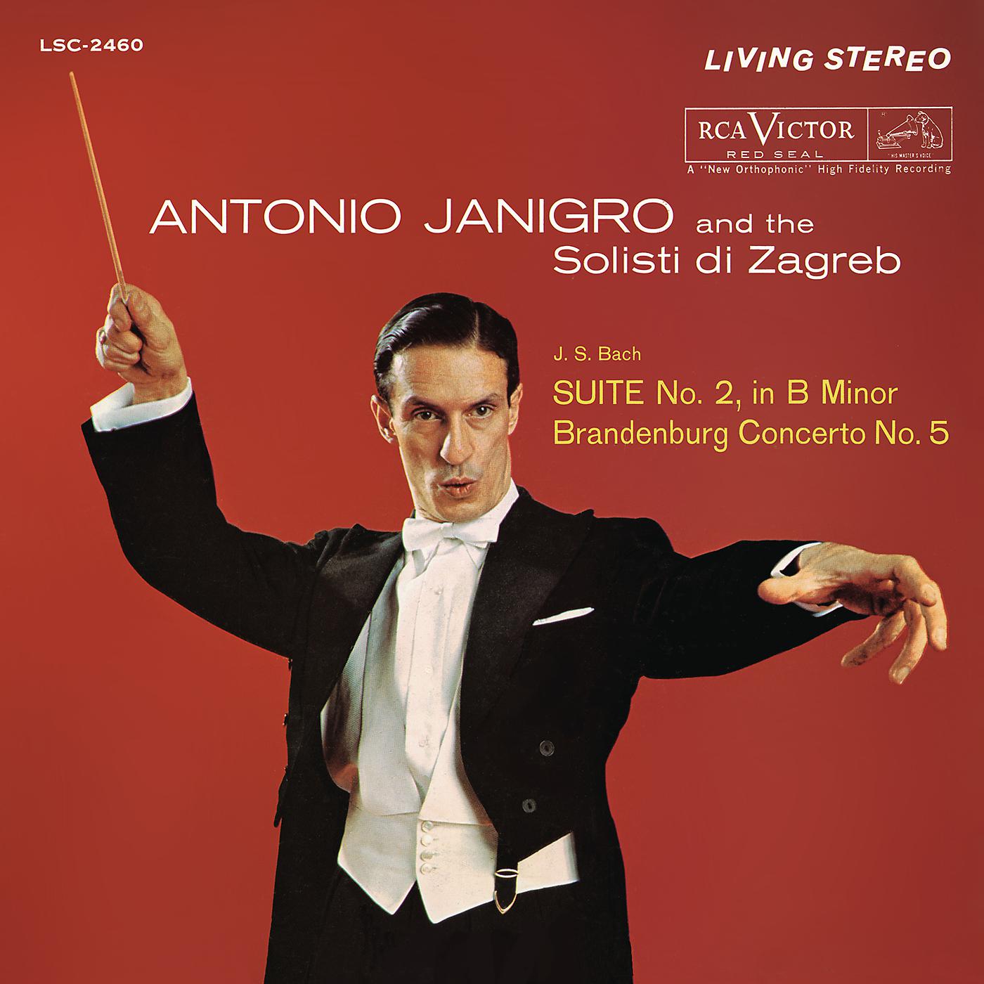 Antonio Janigro - Suite for Orchestra No. 2 in B Minor, BWV 1067: III. Sarabande