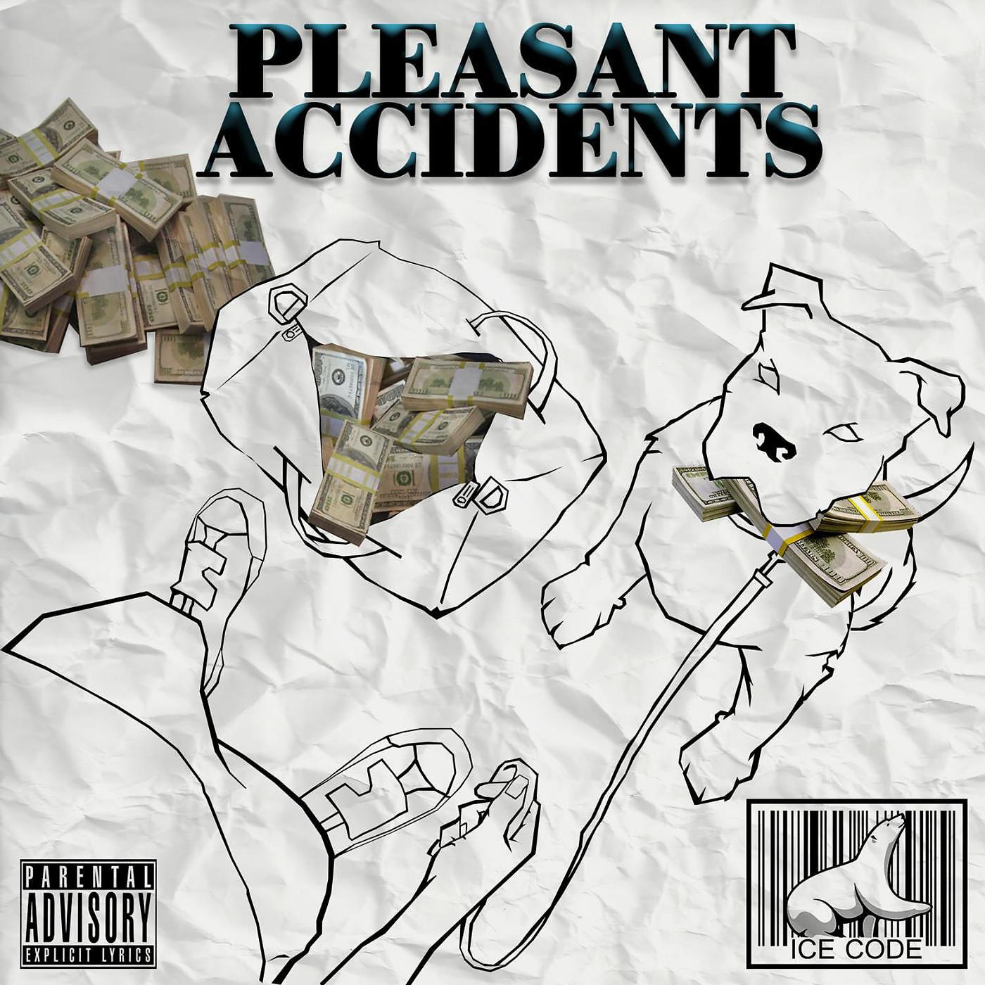 Постер альбома Pleasant Accidents