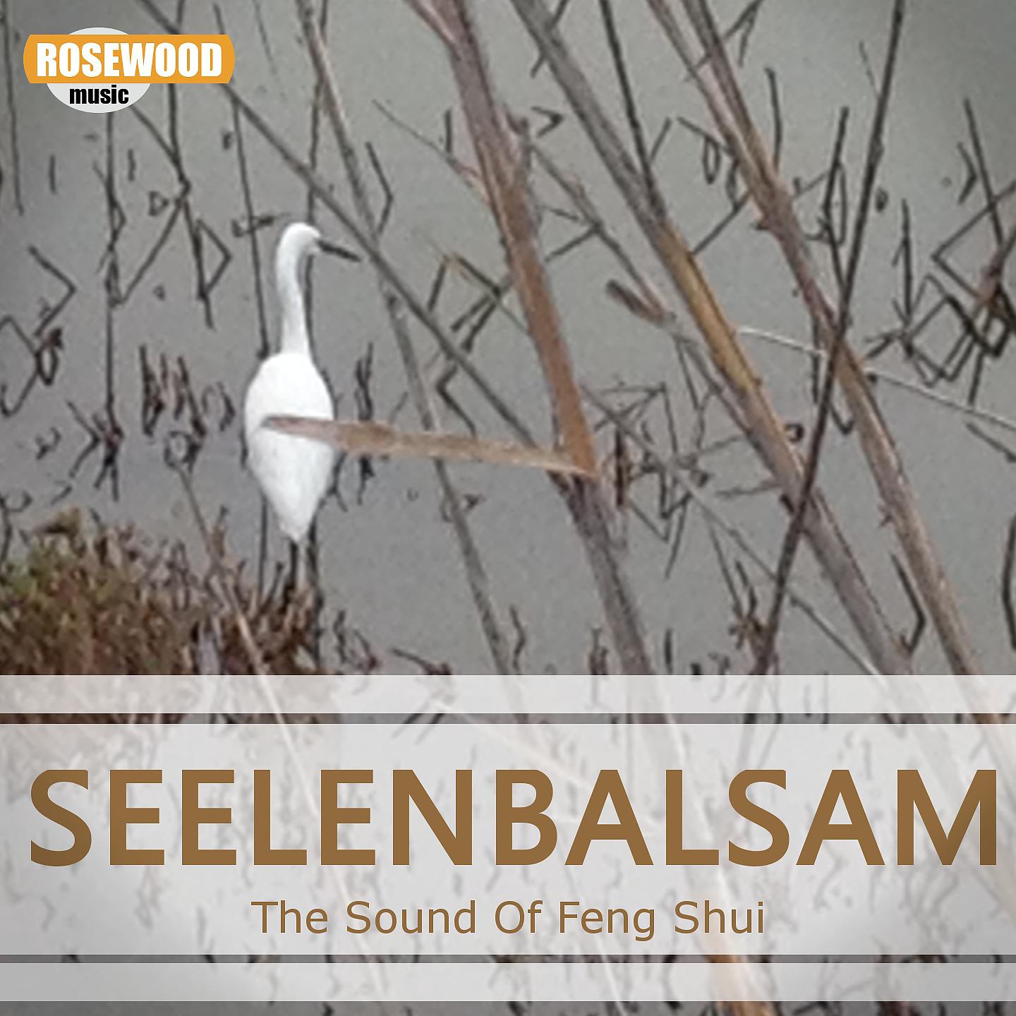 Постер альбома Seelenbalsam
