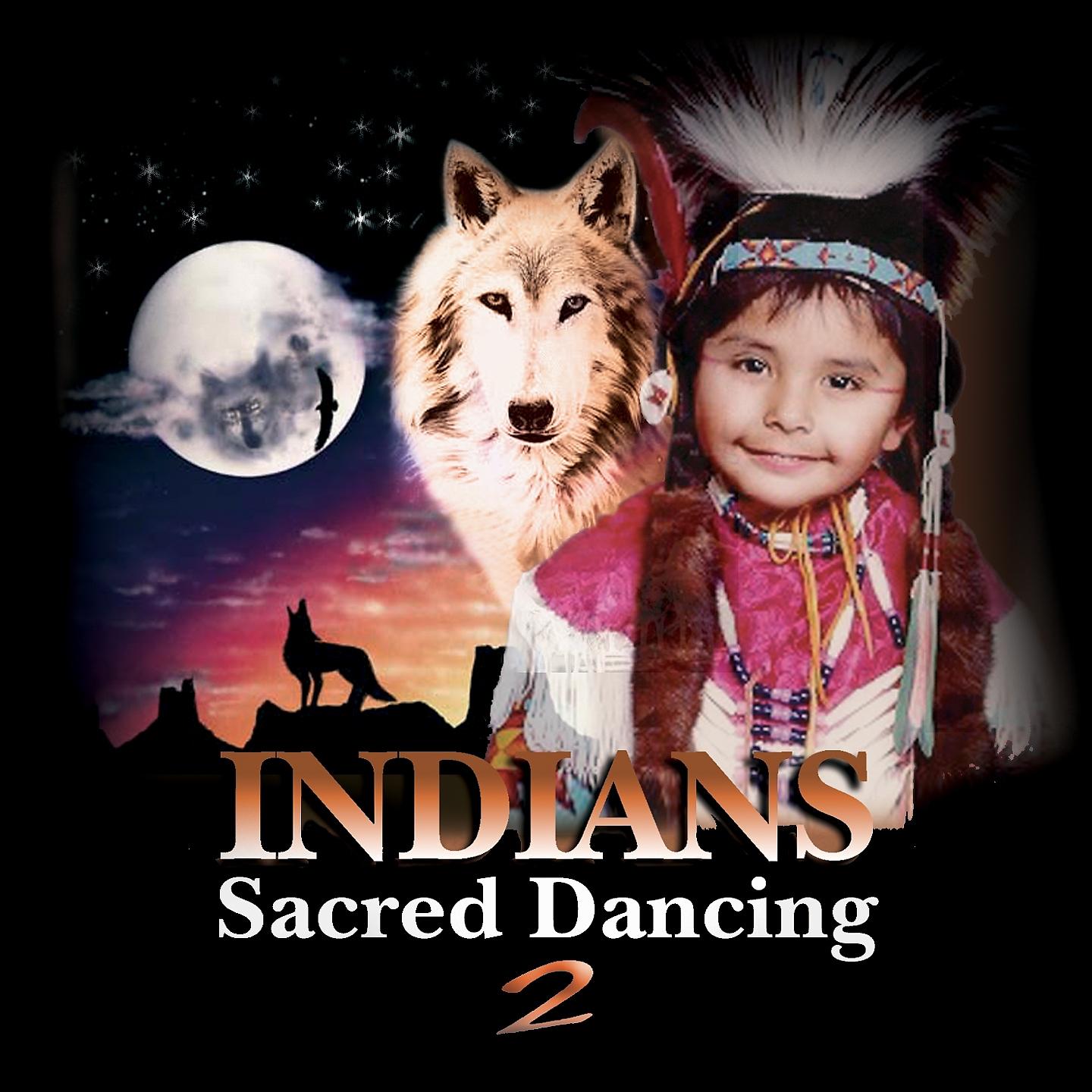 Постер альбома Indians Sacred Dancing, Vol. 2