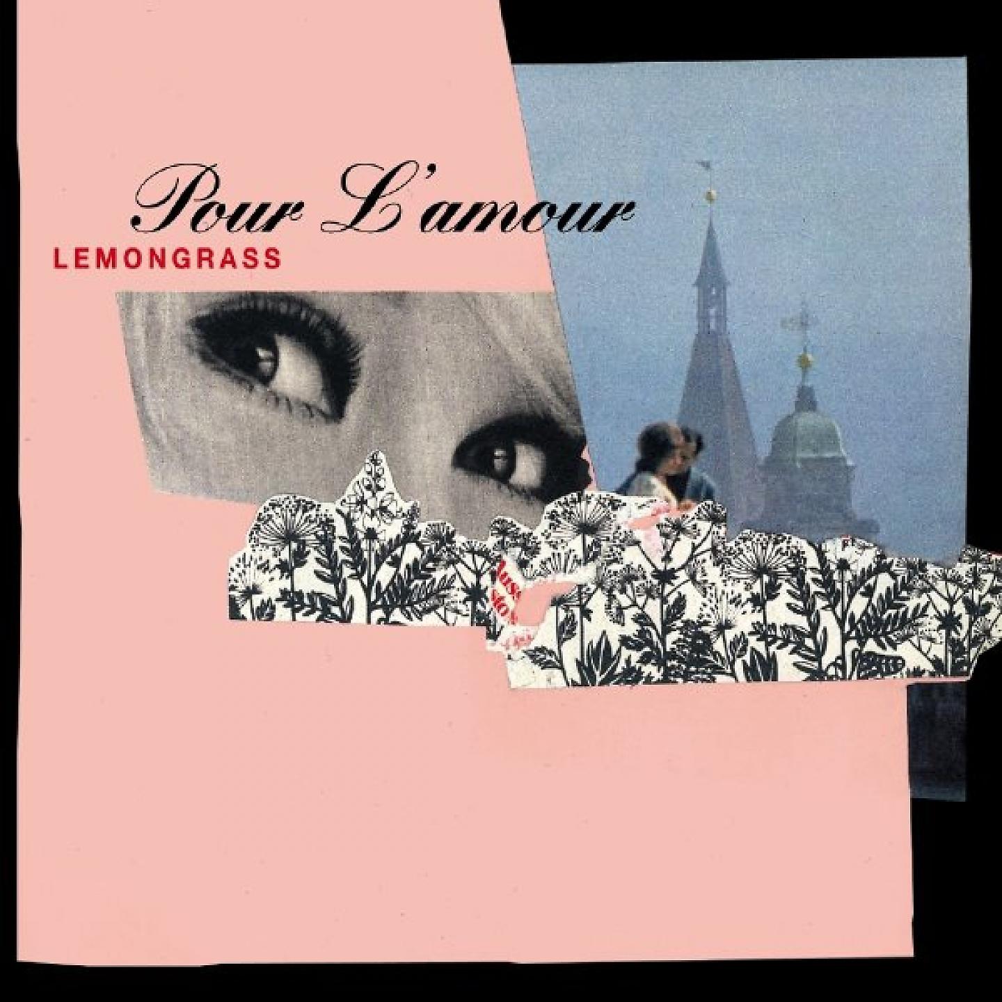 Постер альбома Pour l'amour