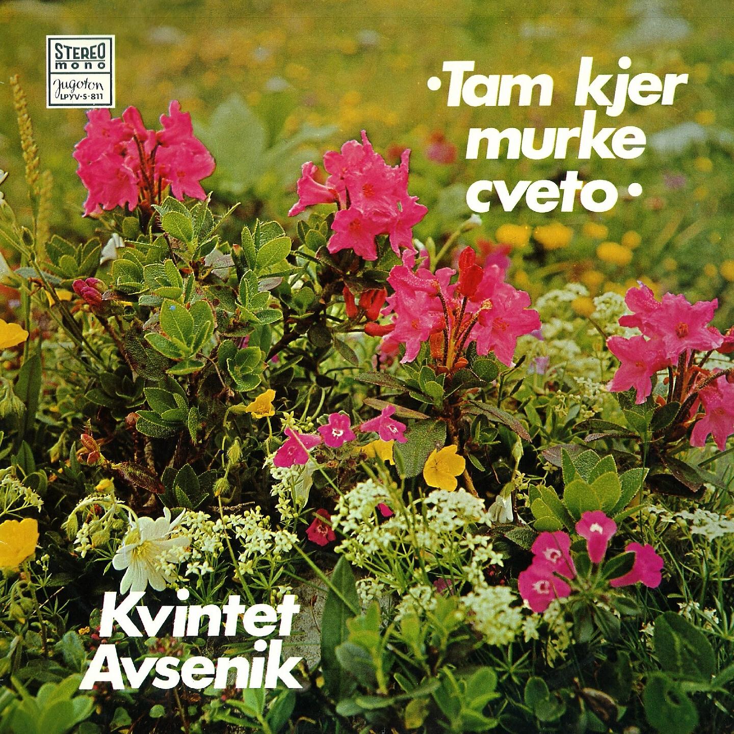 Kvintet 'Avsenik' - Pa Se Sliš