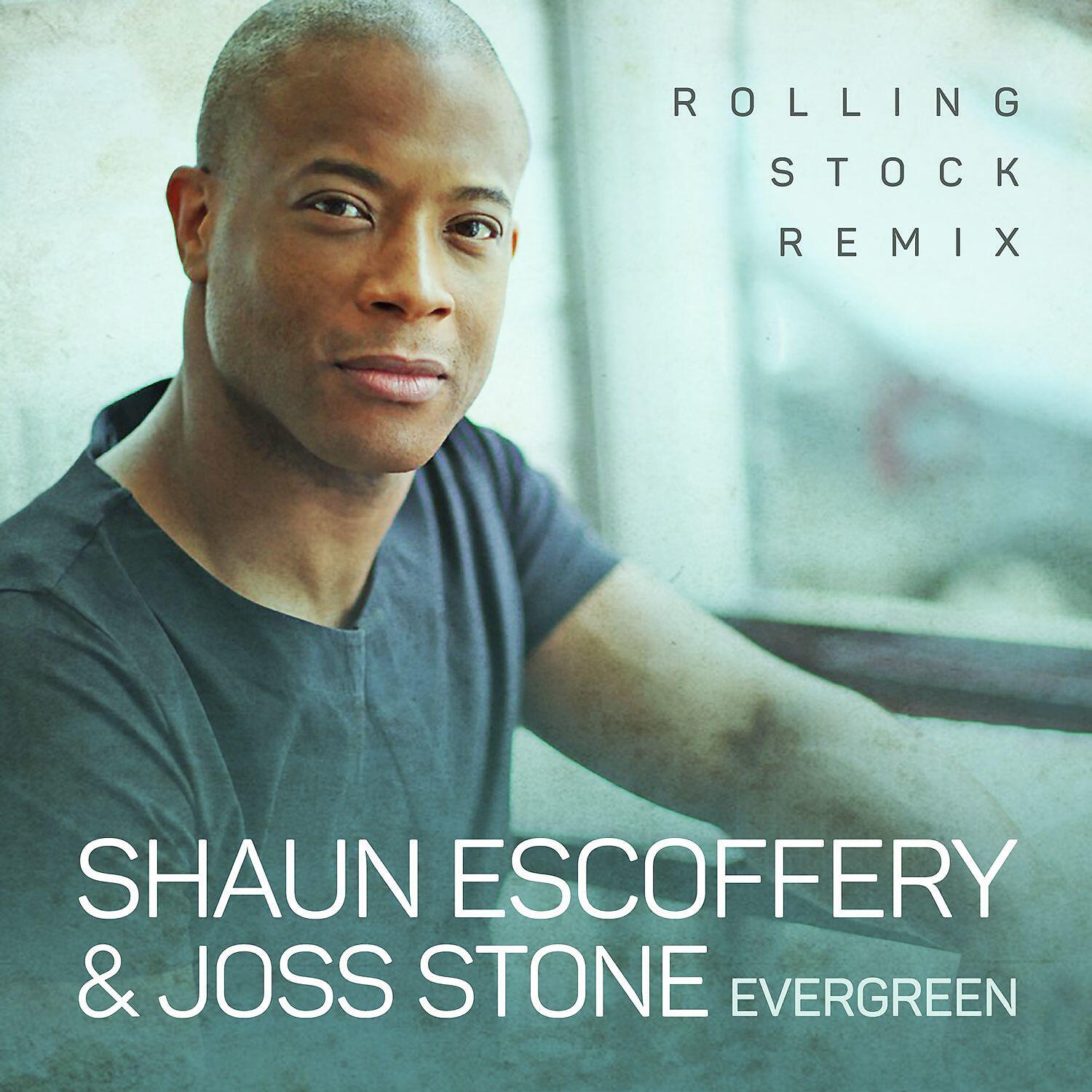 Shaun Escoffery - Evergreen (Rolling Stock Remix) [Radio Edit] (Rolling Stock Remix, Radio Edit)