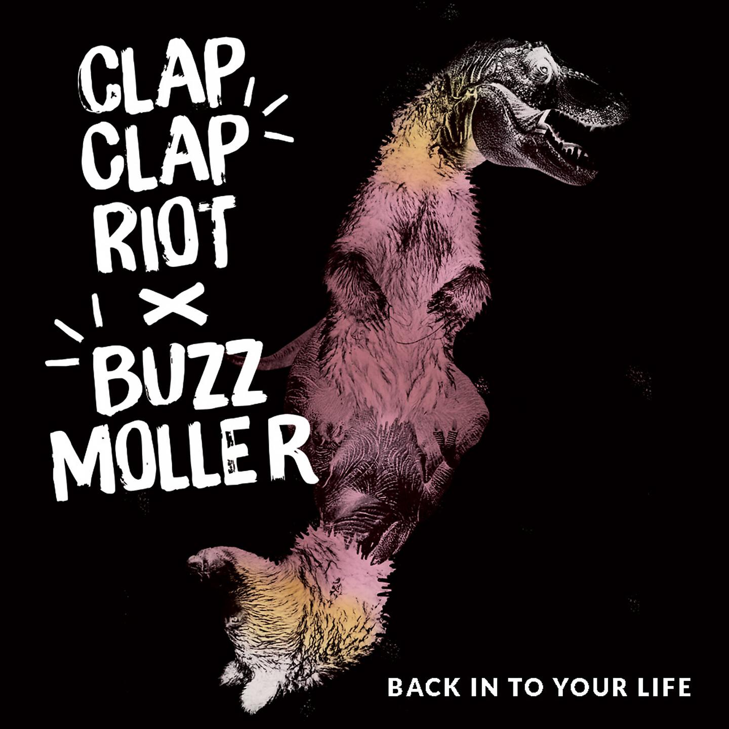 Clap Clap Riot - Back in to Your Life