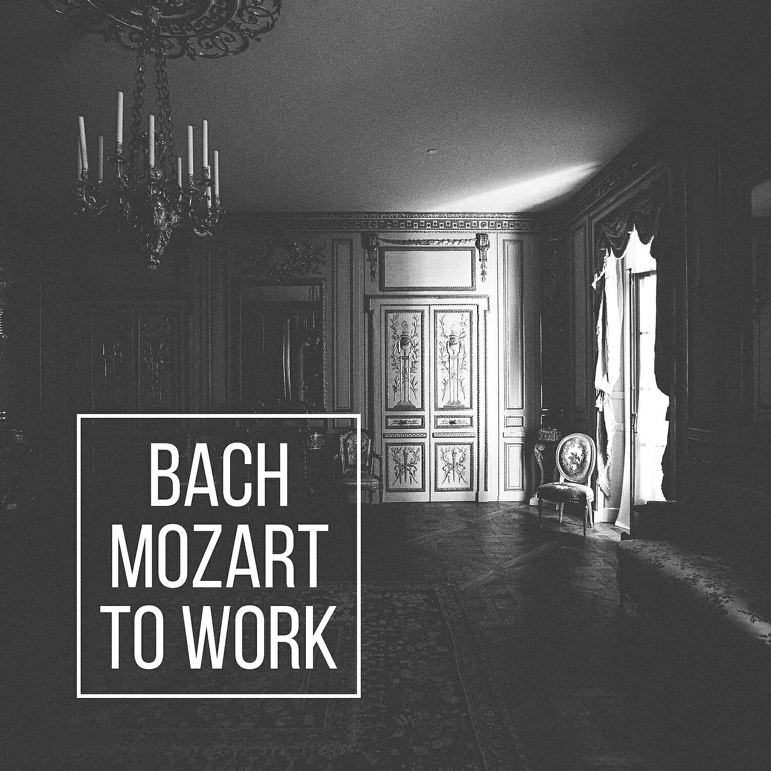 Classical Study Music Ensemble - Flute Sonata in B Minor, BWV 1030: II. Largo e dolce