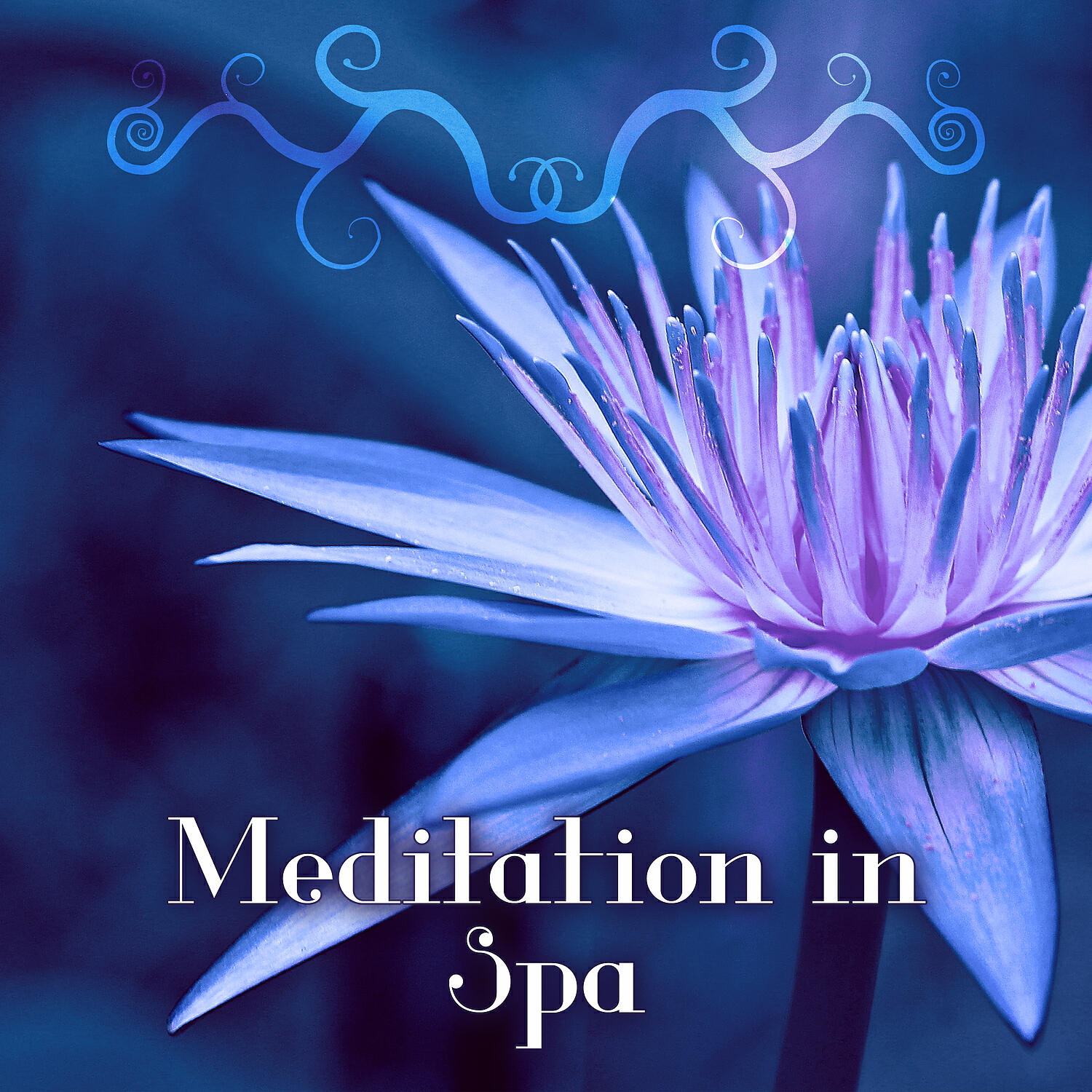 Spa - Meditation Music