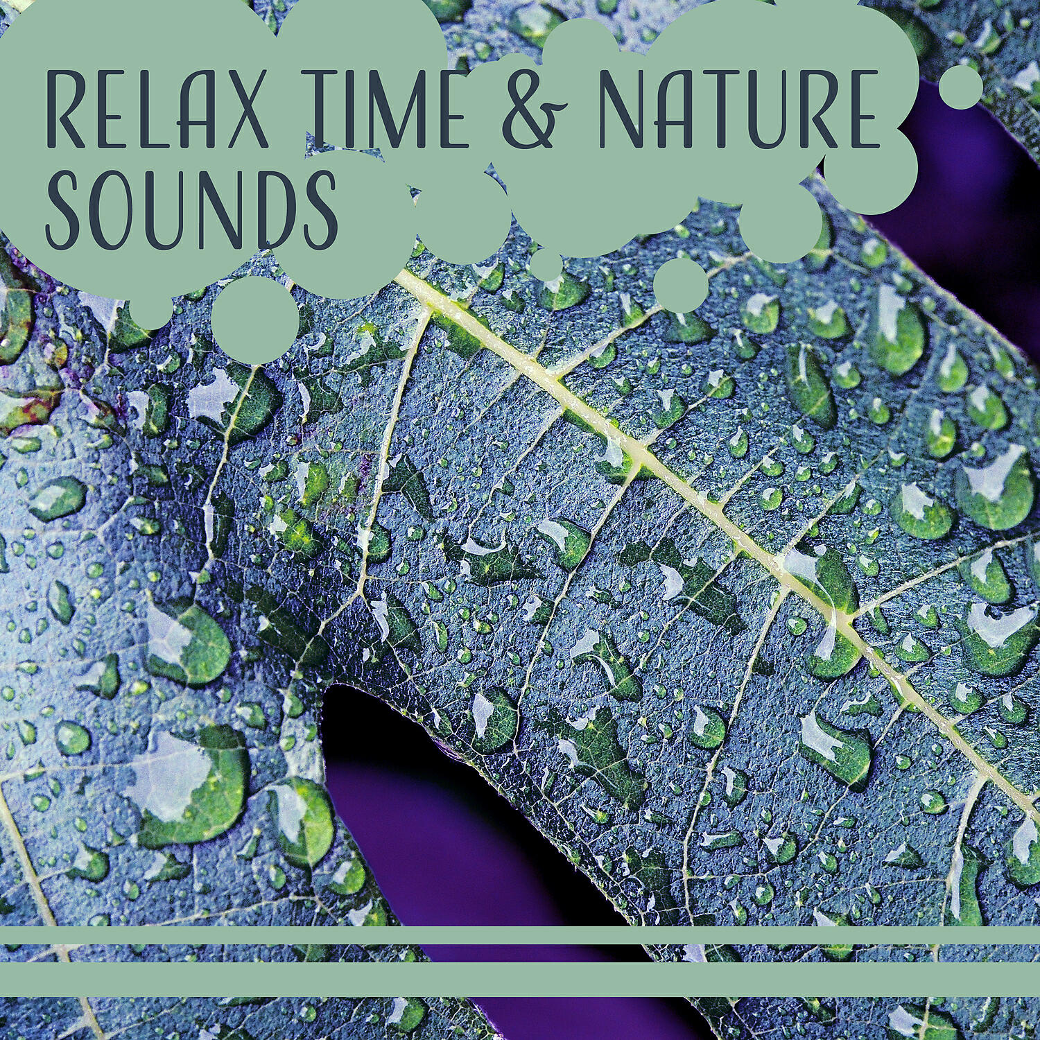 Sounds of Nature: Thunderstorm, Rain - Calming Nature Sounds