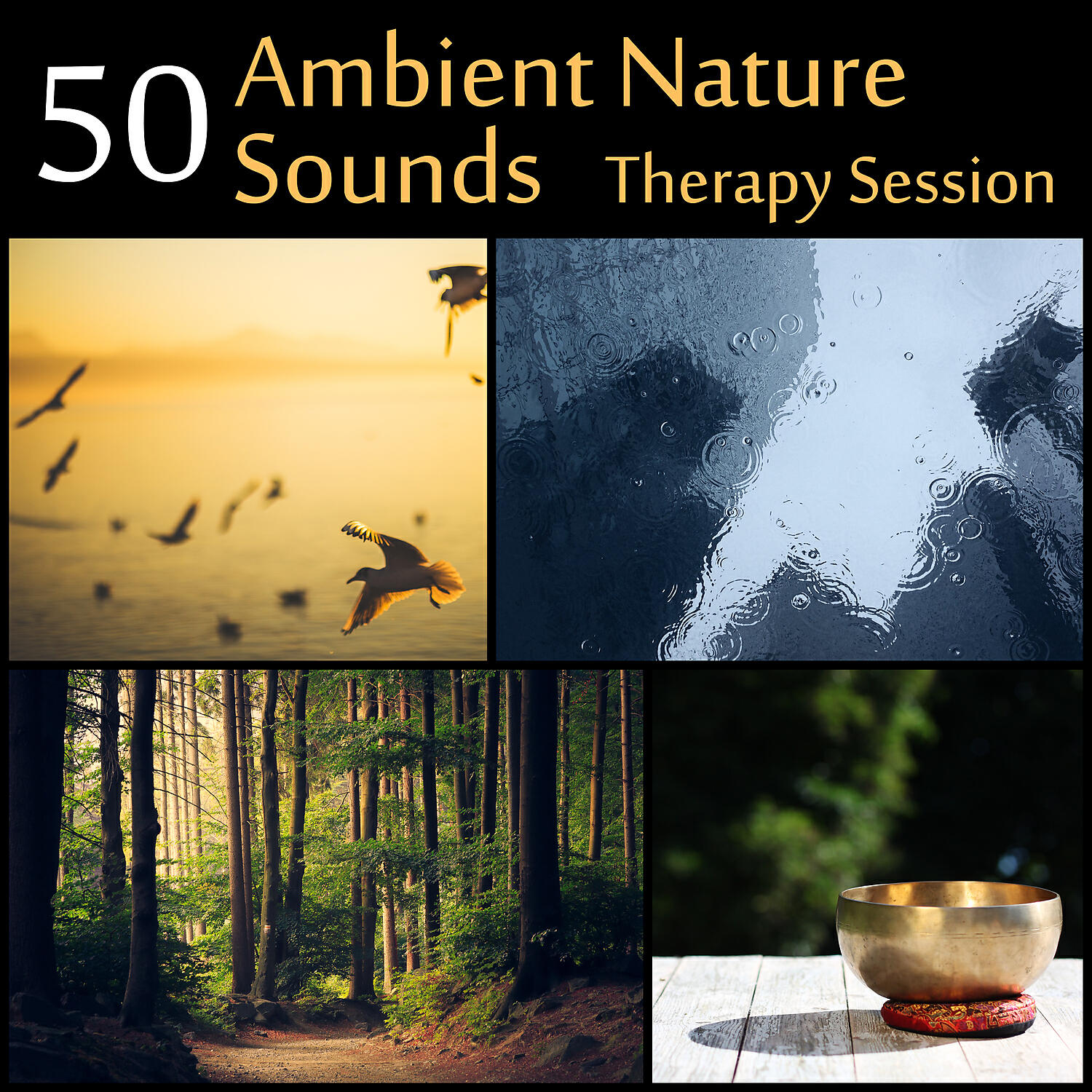 Relaxing Nature Sounds Collection - Abhaya Mudra, Reiki Sanctuary (Bliss Music)