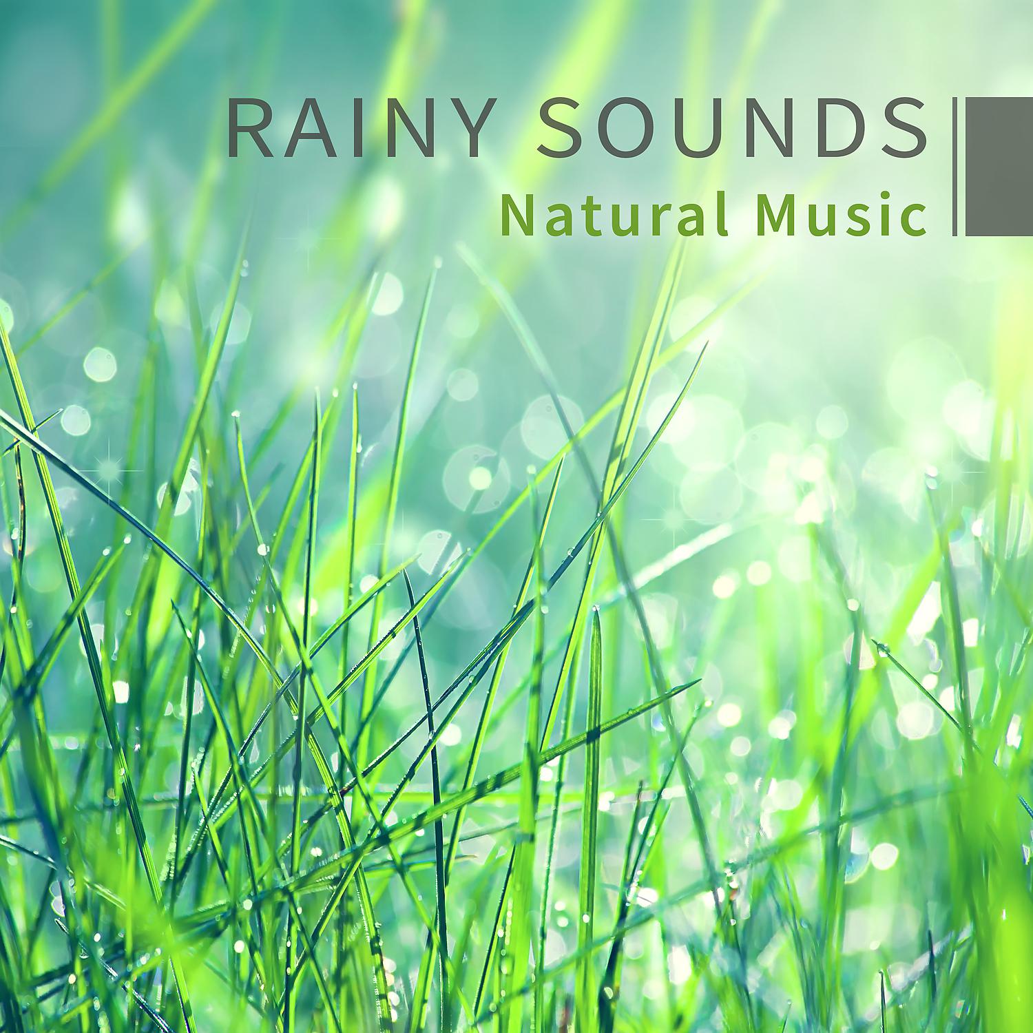 Постер альбома Rainy Sounds – Natural Music: Meditation & Relaxation, Yoga, Spa & Massage, Calm Melody for Your Soul