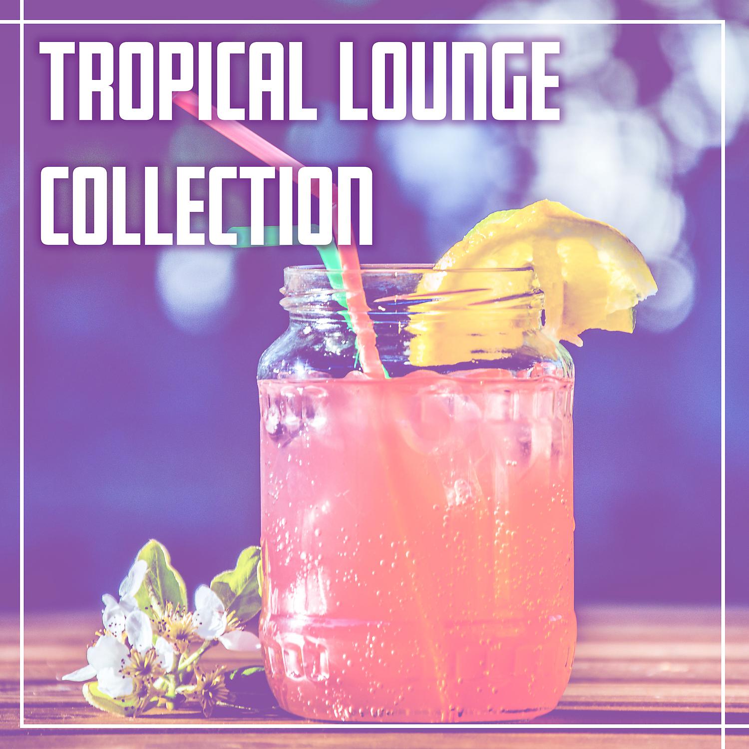 Постер альбома Tropical Lounge Collection