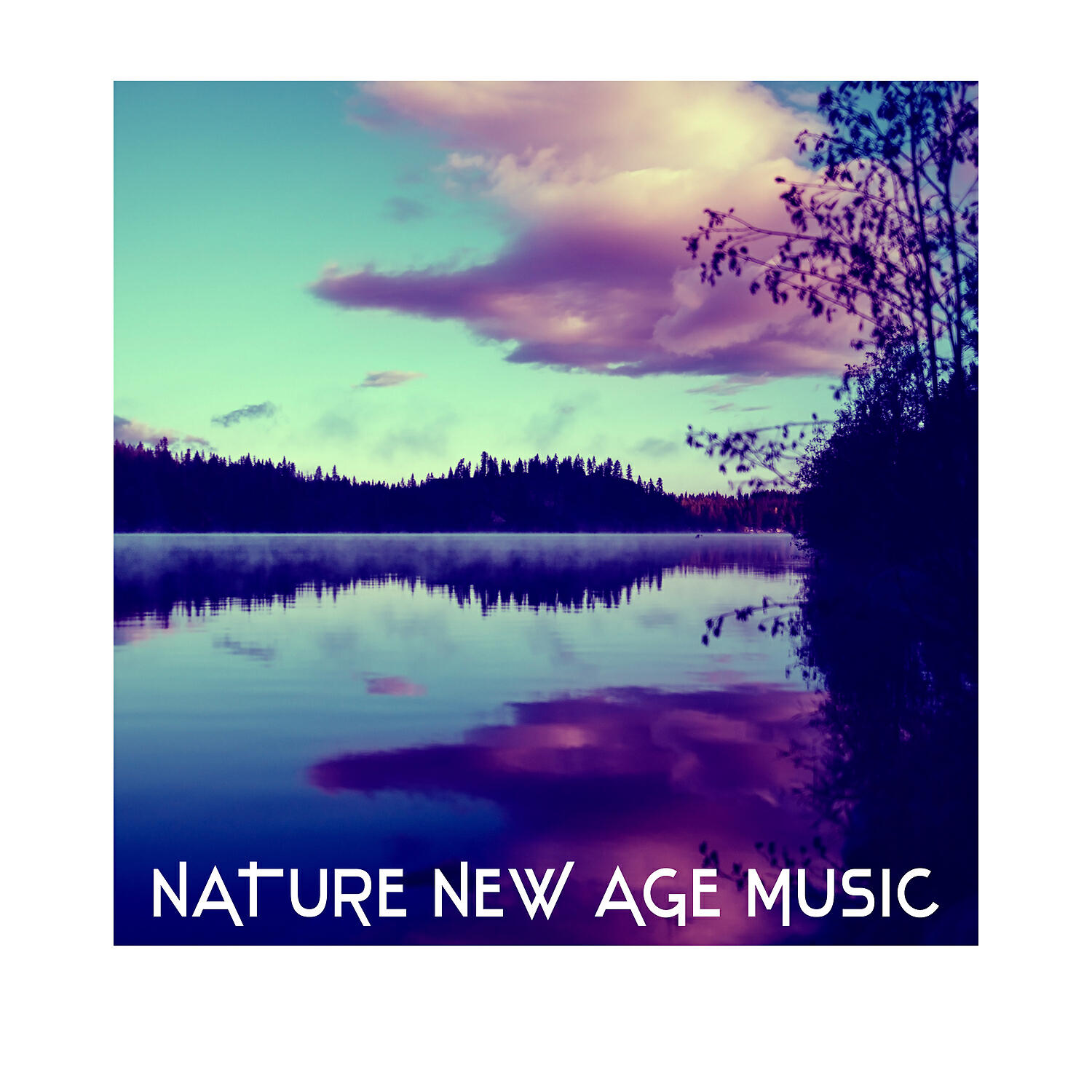Nature Music Nature Sound - Relaxing Harmony