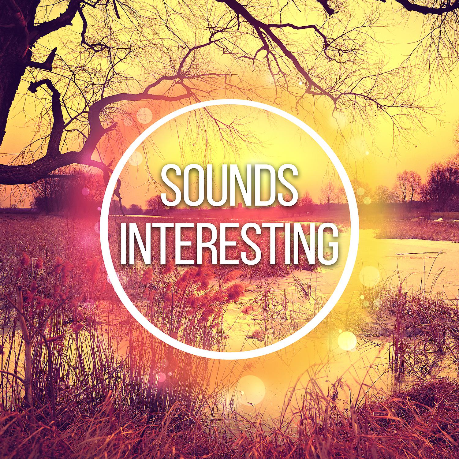 Постер альбома Sounds Interesting - Total Calm, Surrounding Sounds of Nature, Very Cool Music, World of Nature, Fun to Listen