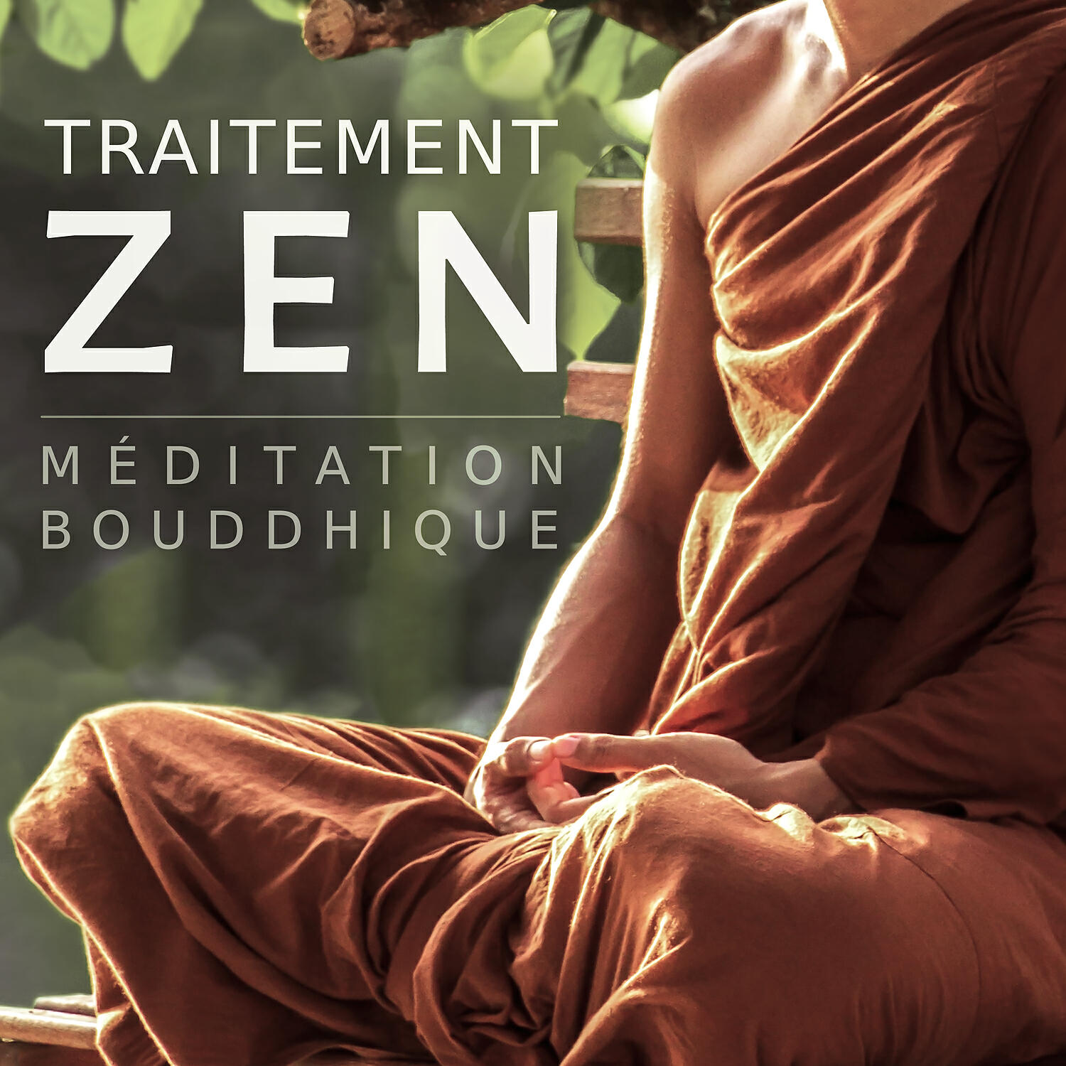 Bouddha Musique Sanctuaire - Sous-marine méditative sons des baleines