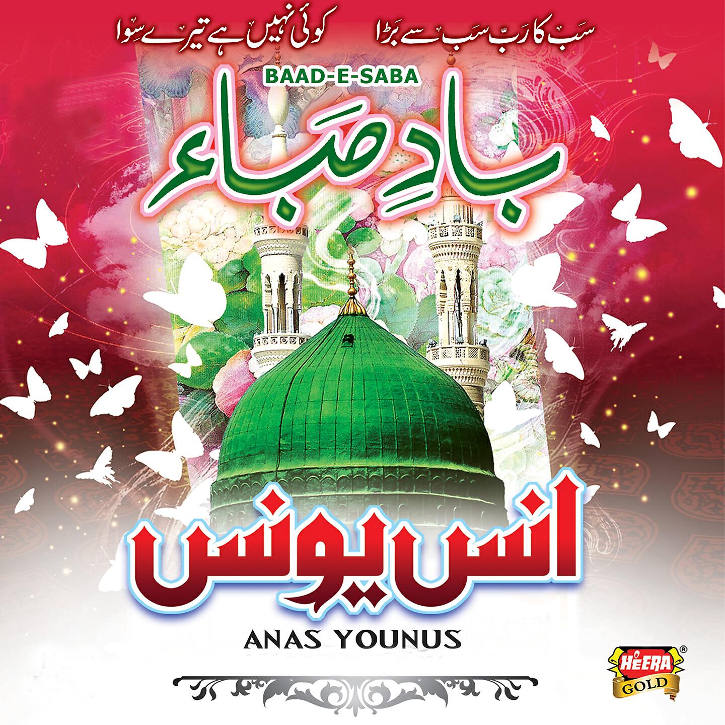 Anas Younus - Tu Hai Mujeeb Humd