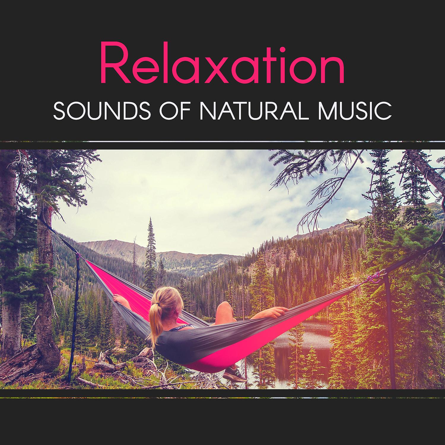 Постер альбома Relaxation Sounds of Natural Music: Deep Sleep Aid, Calming Music for Long Dream