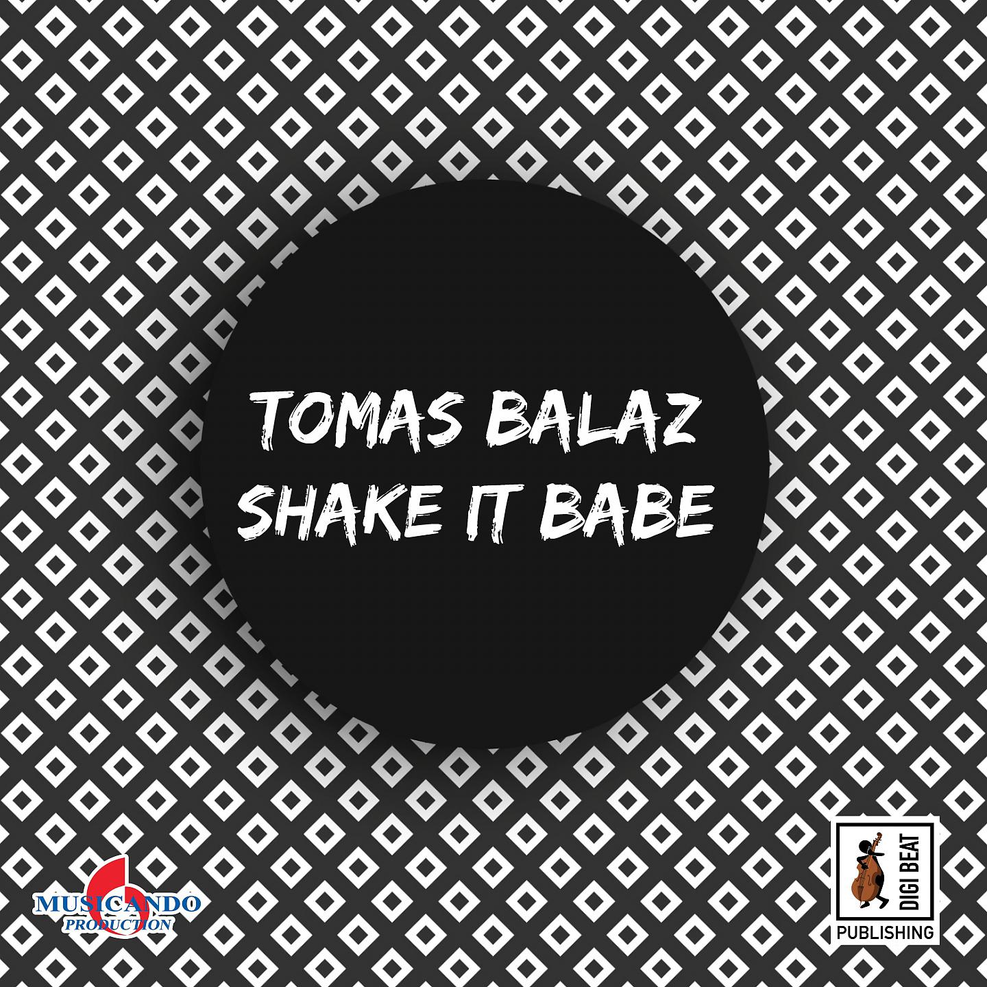 Постер альбома Shake It Babe