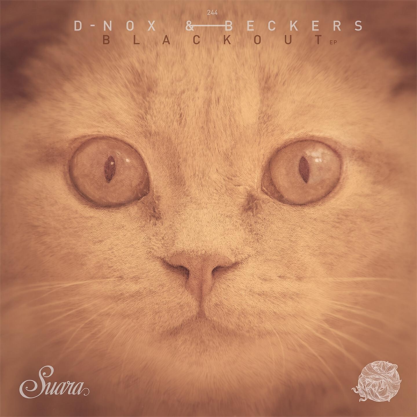 D-Nox - Blackout (Original Mix)