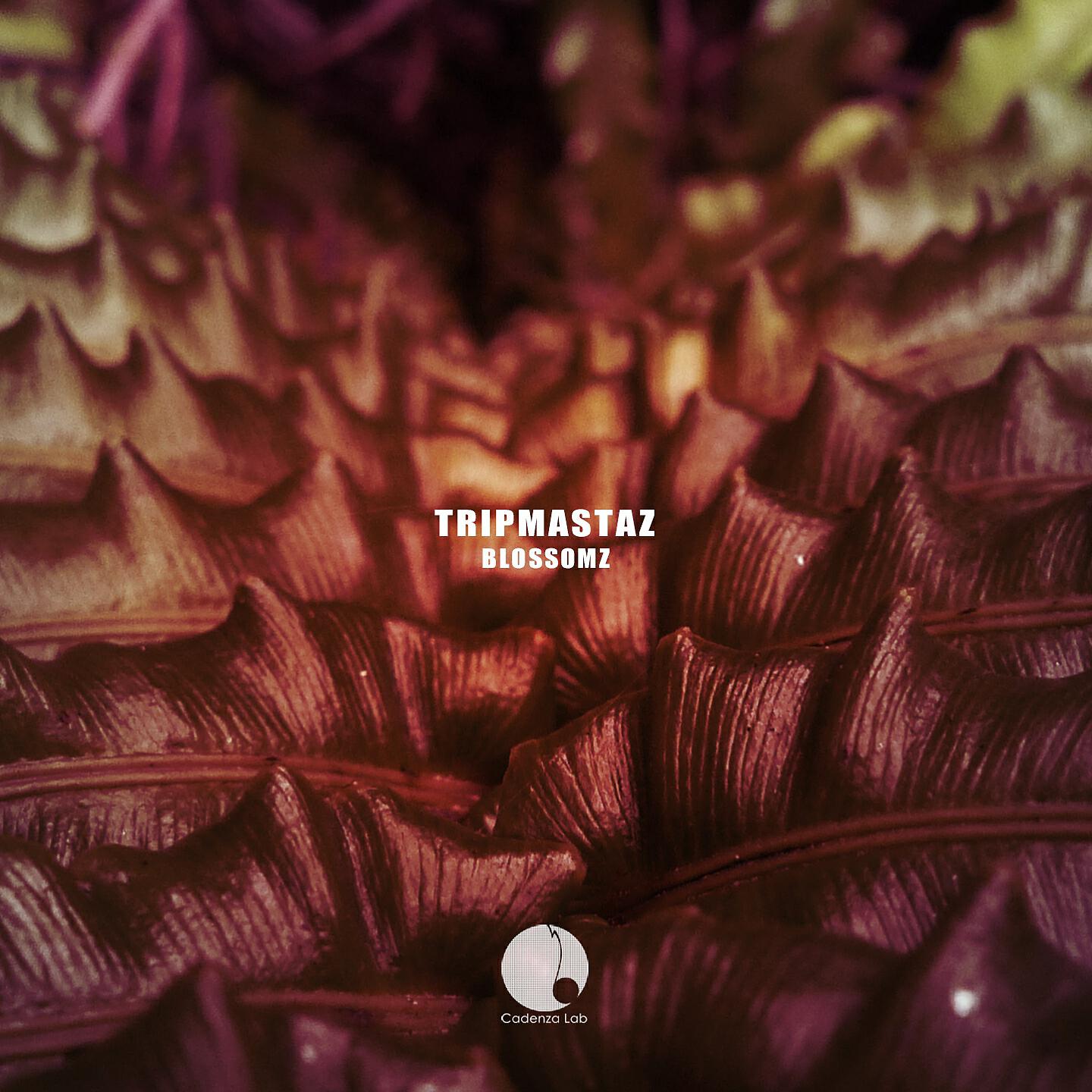 Tripmastaz - Sublimely Relieved (Cuban Linx) [Bass Dub]
