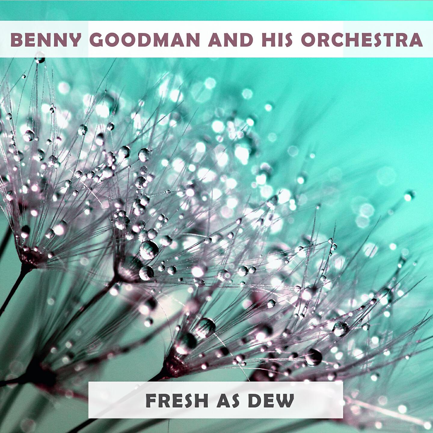Benny Goodman And His Orchestra - (Gotta Get Some) Shut-Eye