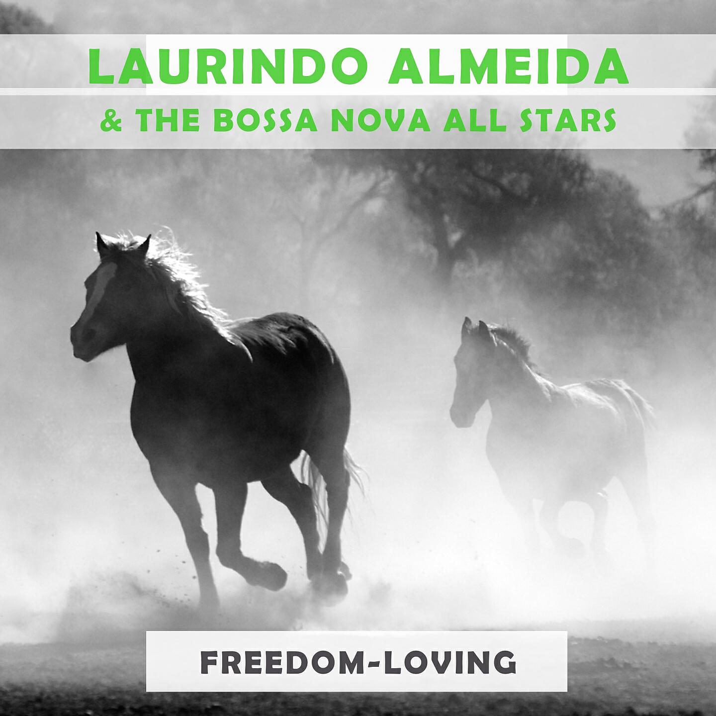 Laurindo Almeida & The Bossa Nova All Stars - The Alley Cat Song