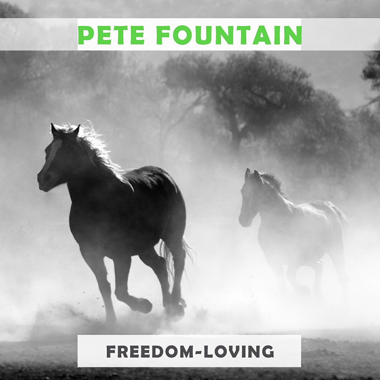Pete Fountain - Comme Ci, Comme Ca