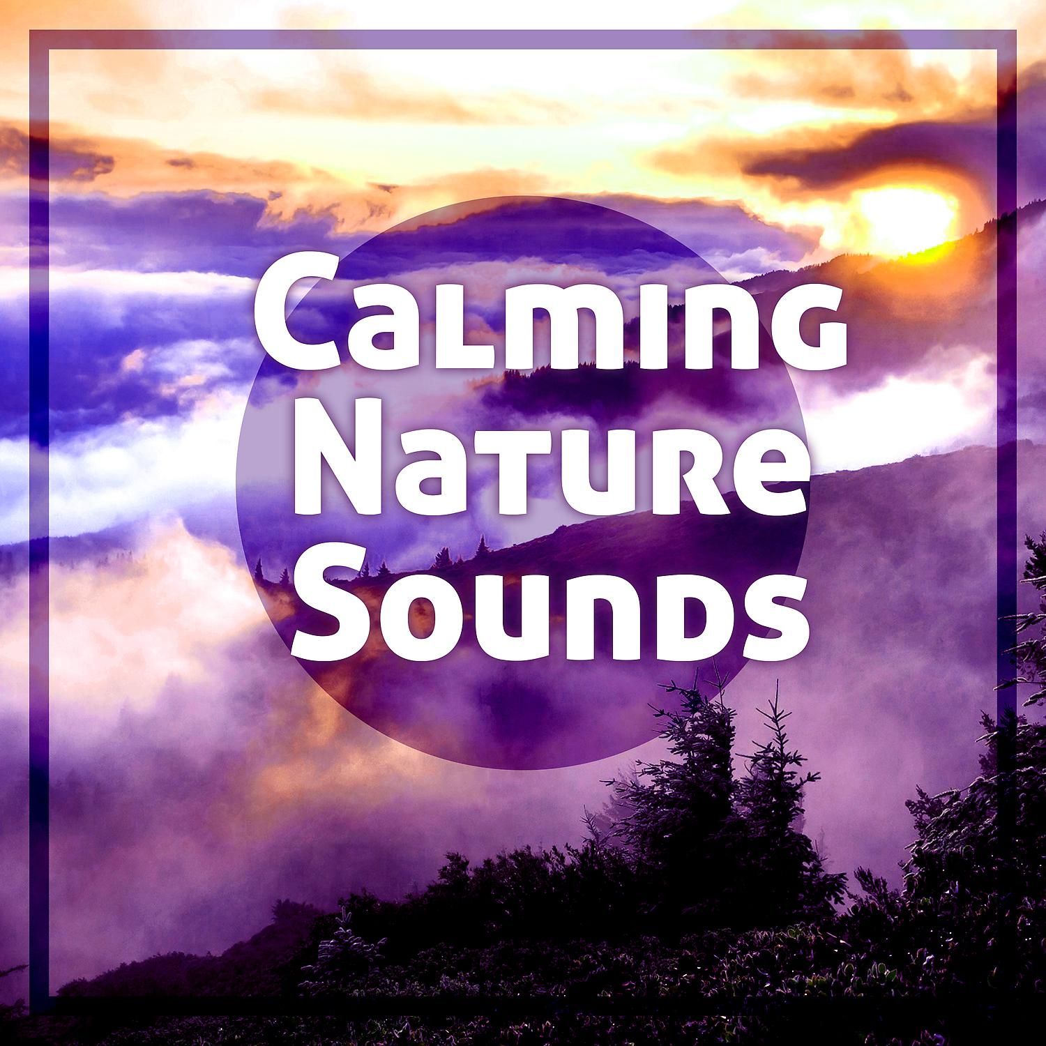 Постер альбома Calming Nature Sounds – Relaxing Music to Calm Down, Stress Relief, Meditation Calmness, Spirit Journey