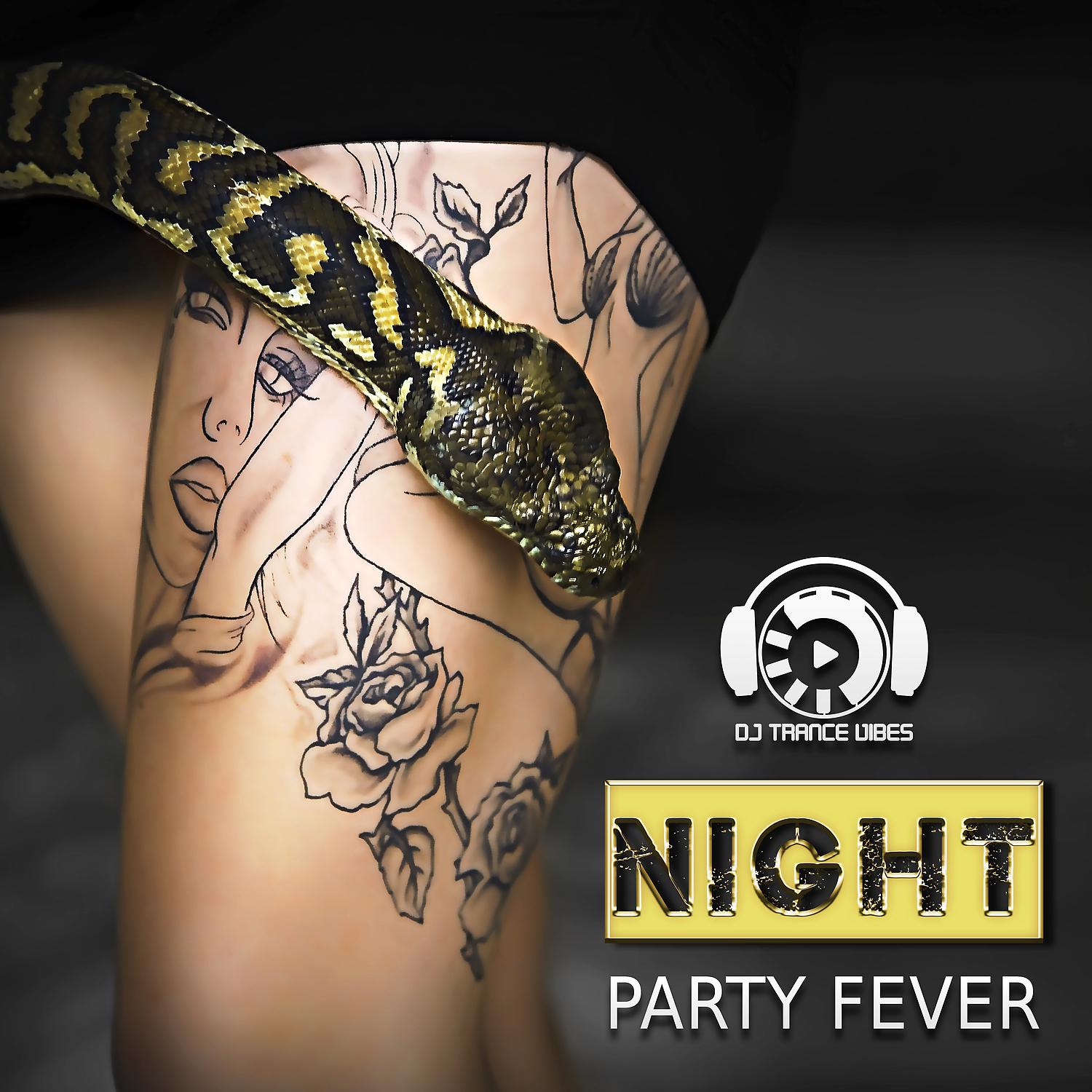 Постер альбома Night Party Fever: Best Electronic Chillout & Lounge Music Session, Erotica House Party, Deep Chillout After Dark, Hot Night Ambient Music Experience