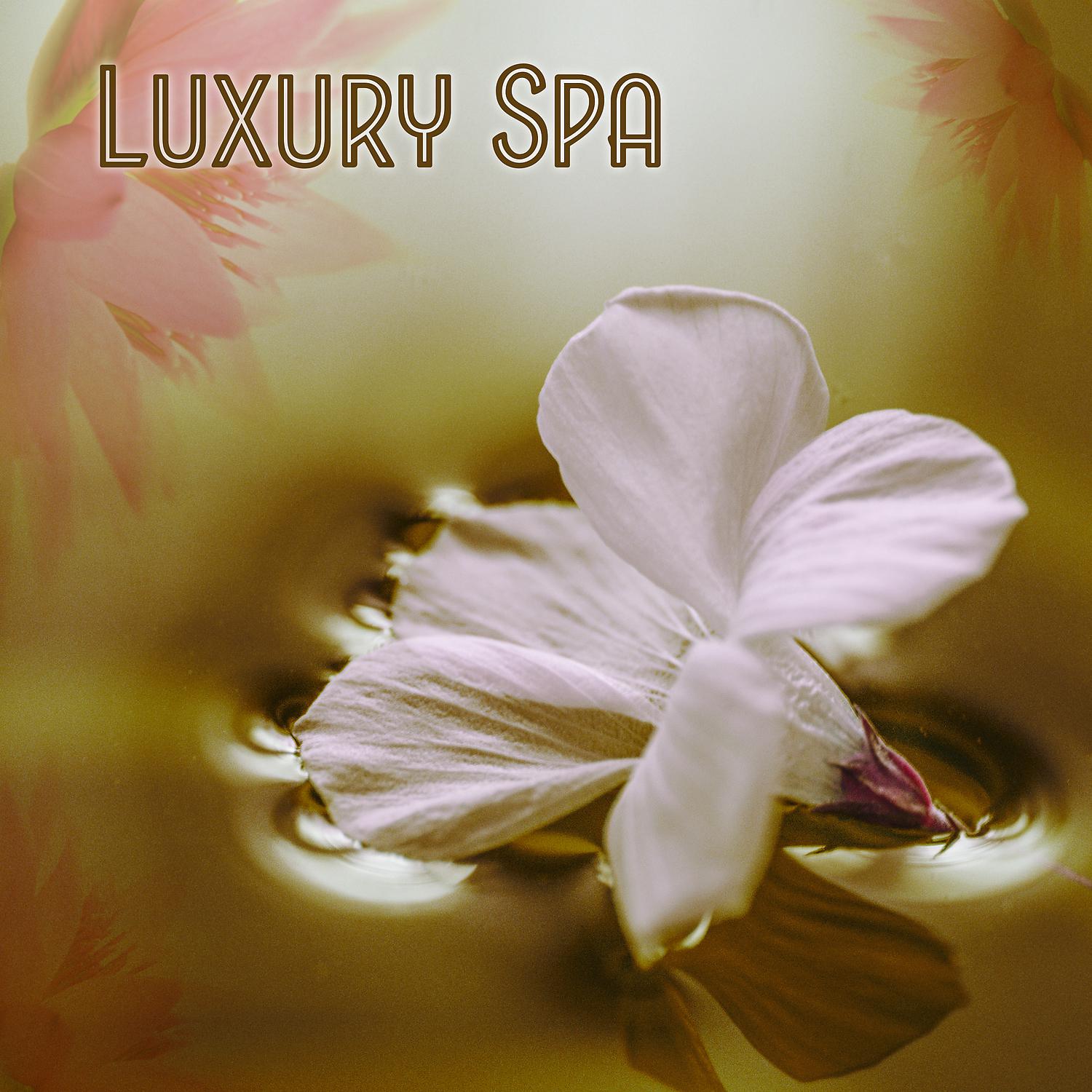 Постер альбома Luxury Spa – Piano Background Music, Spa Center, Inner Peace