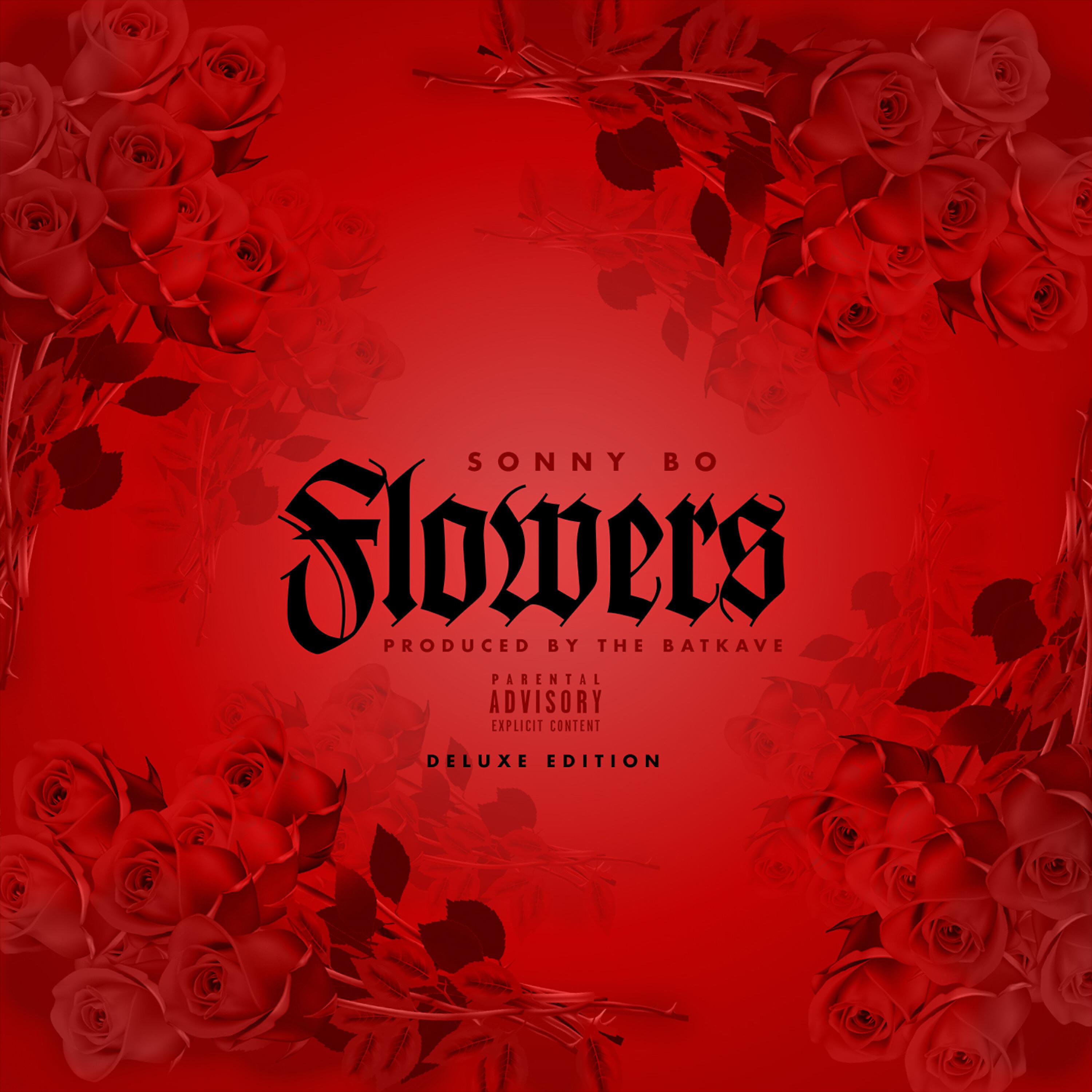 Sonny Bo - Money and Run (feat. Nilaja Gardner)
