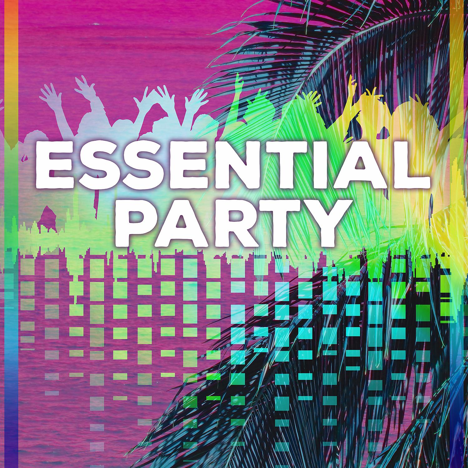 Постер альбома Essential Party