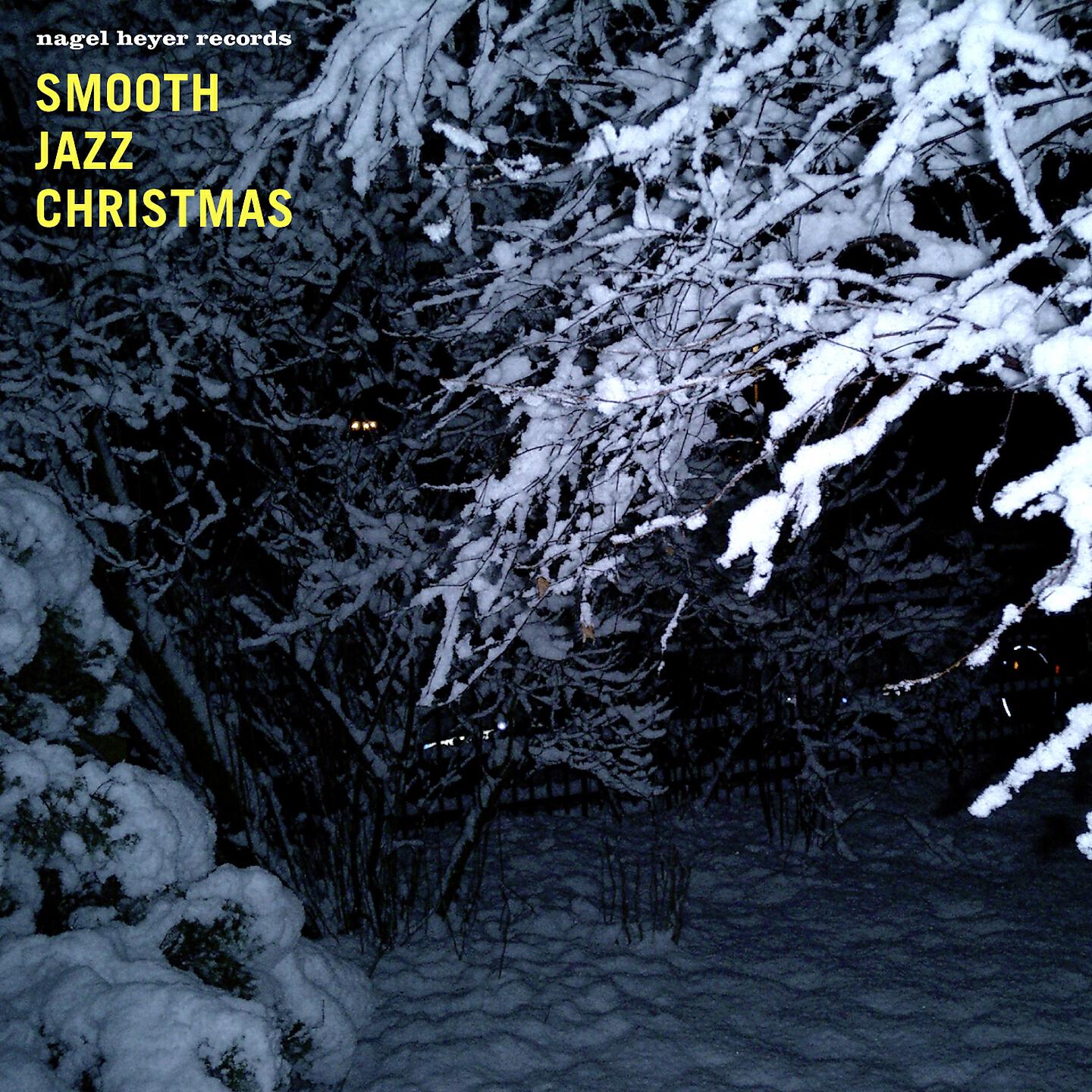 Martin Sasse - The First Noel