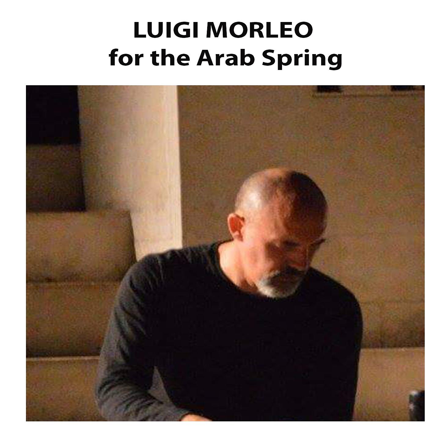 Постер альбома Luigi Morleo for the Arab Spring