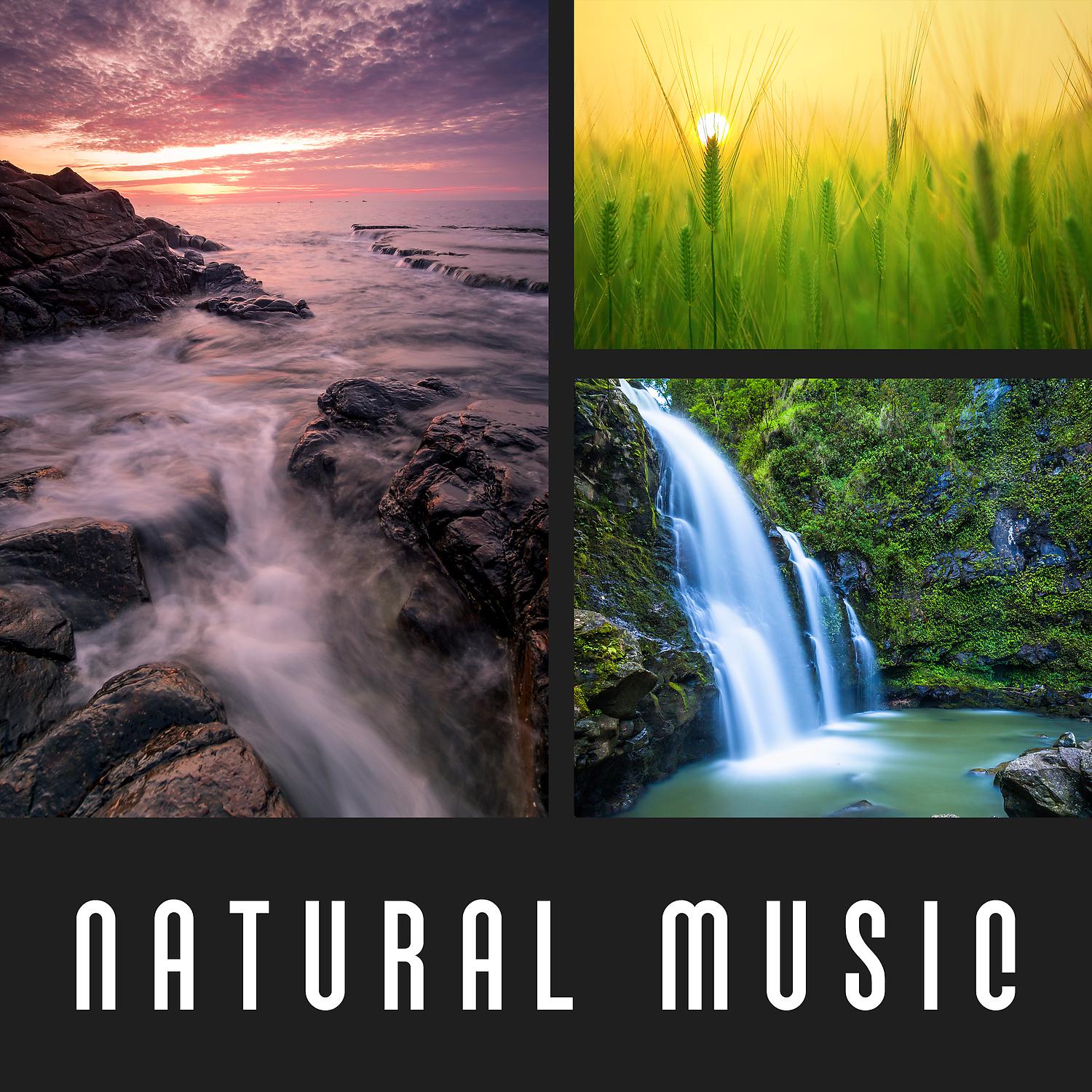 Постер альбома Natural Music – Calming Music, Deep Meditation, Focus and Tranquility, Nature Sounds, Therapy Music
