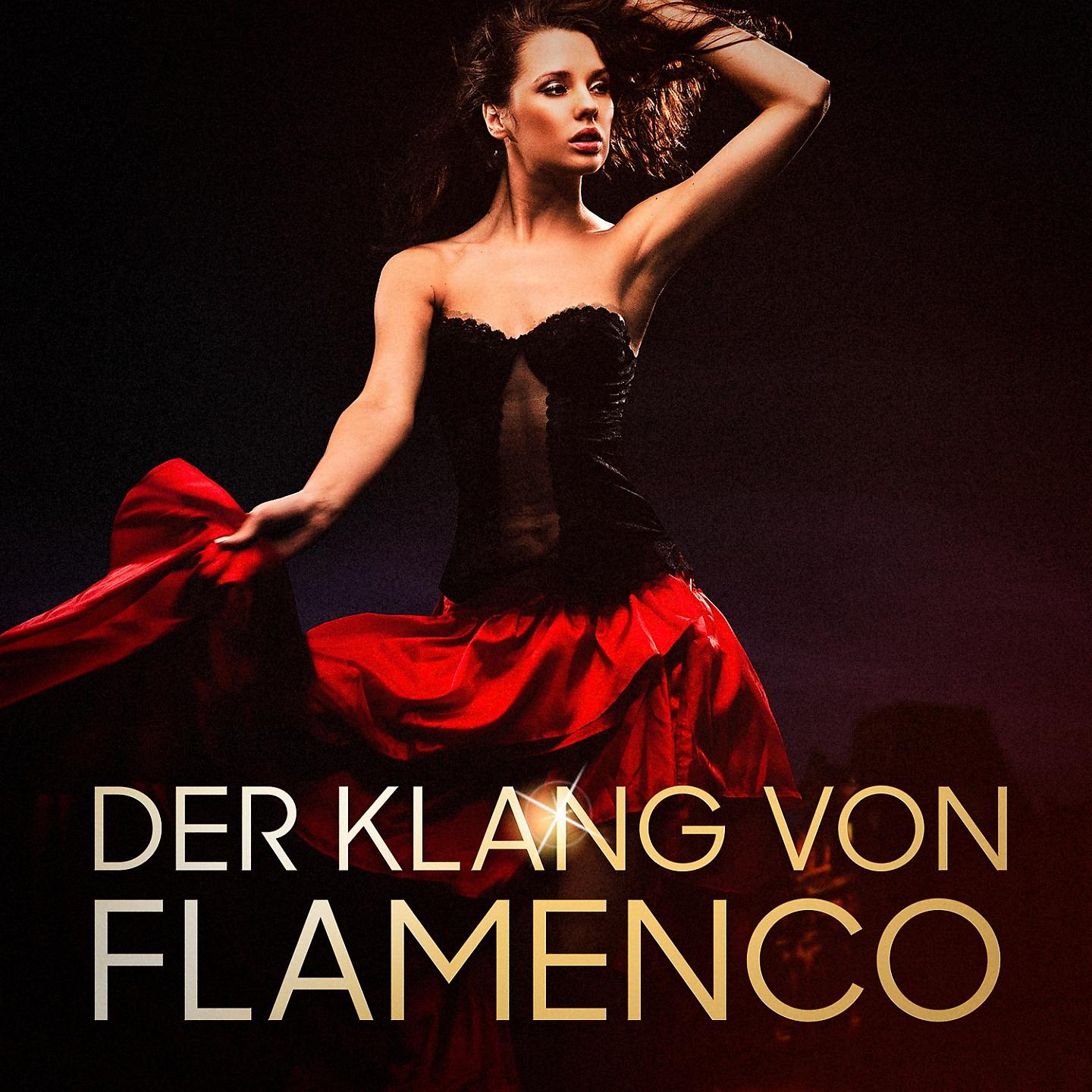 Постер альбома Der Klang von Flamenco