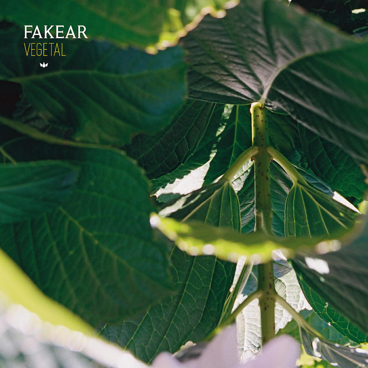 Fakear - Mantra