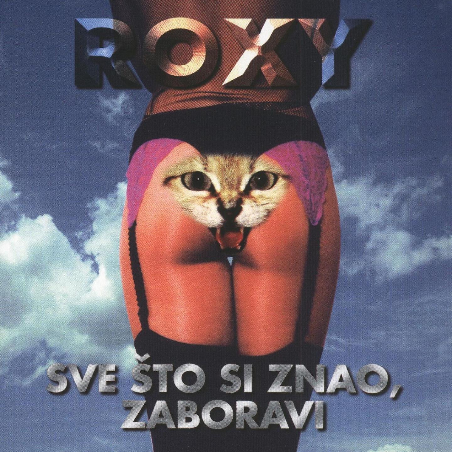 Постер альбома Sve Što Si Znao, Zaboravi