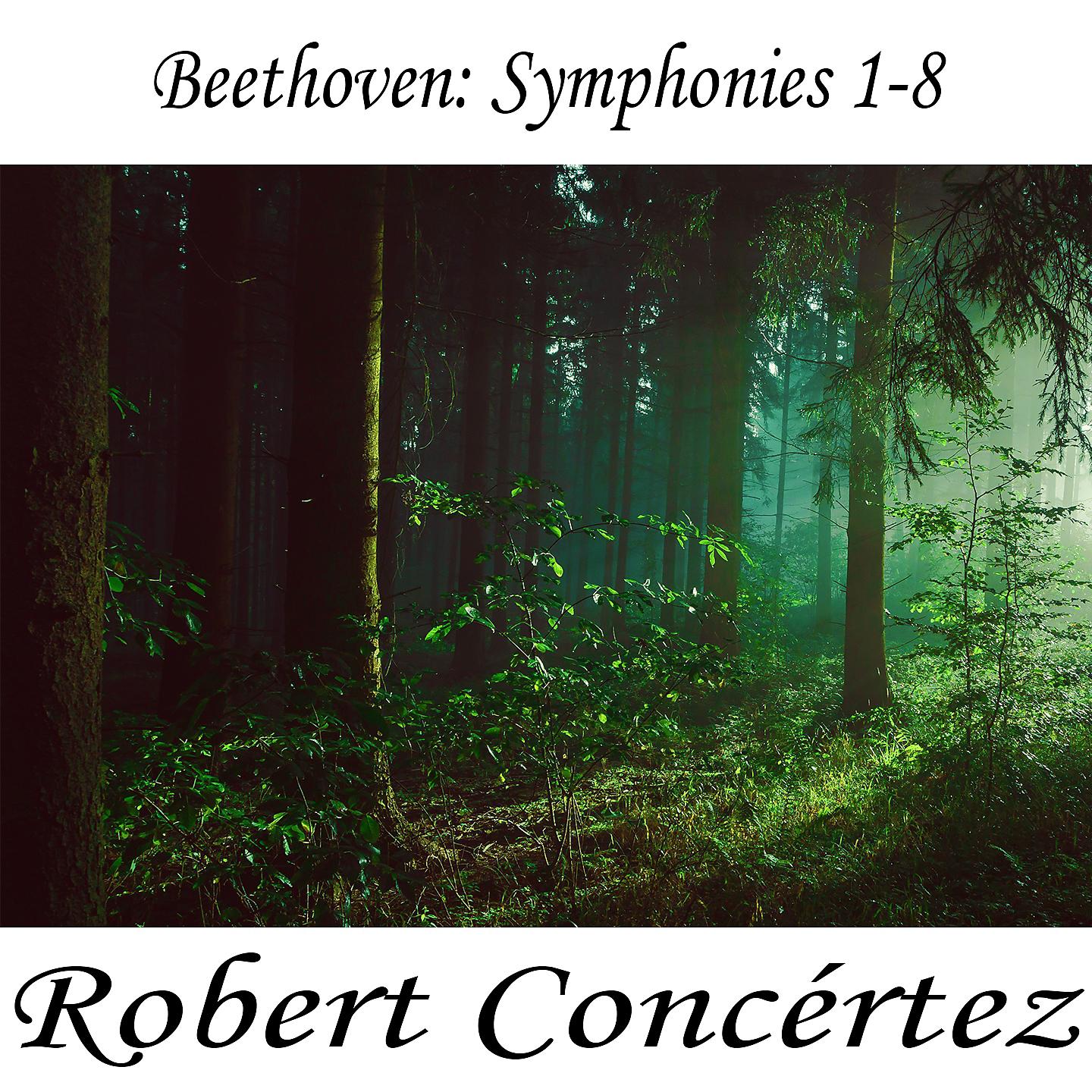 Ludwig van Beethoven - Symphony No- 2 in D Major, Op- 36 IV- Allegro molto