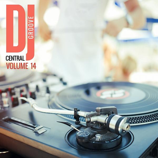 Постер альбома DJ Central - Groove, Vol.14