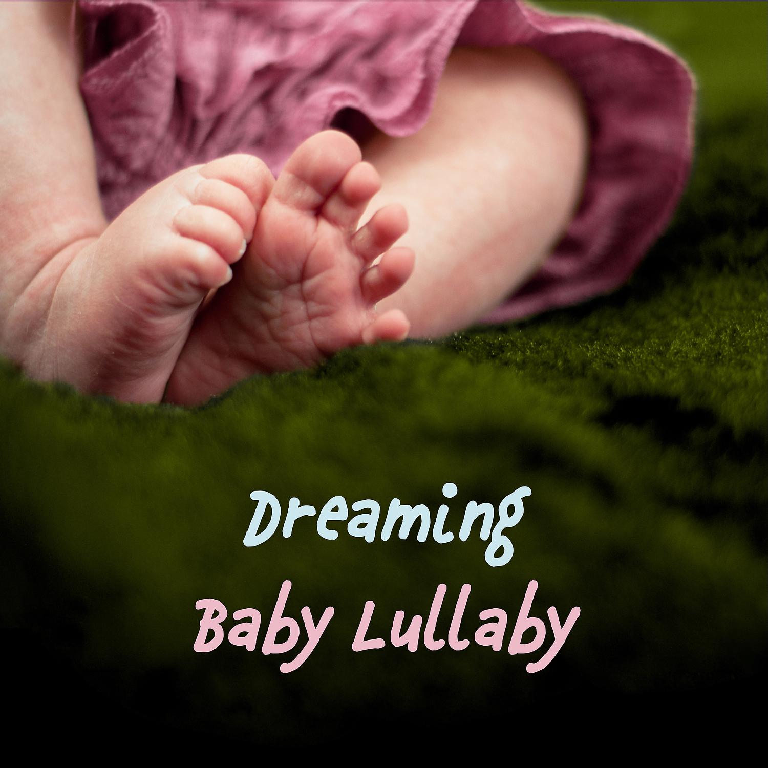 Постер альбома Dreaming Baby Lullaby – Nature Sounds for Baby, Calming Music, Peaceful Dreams, Relaxation, Soothing Sounds