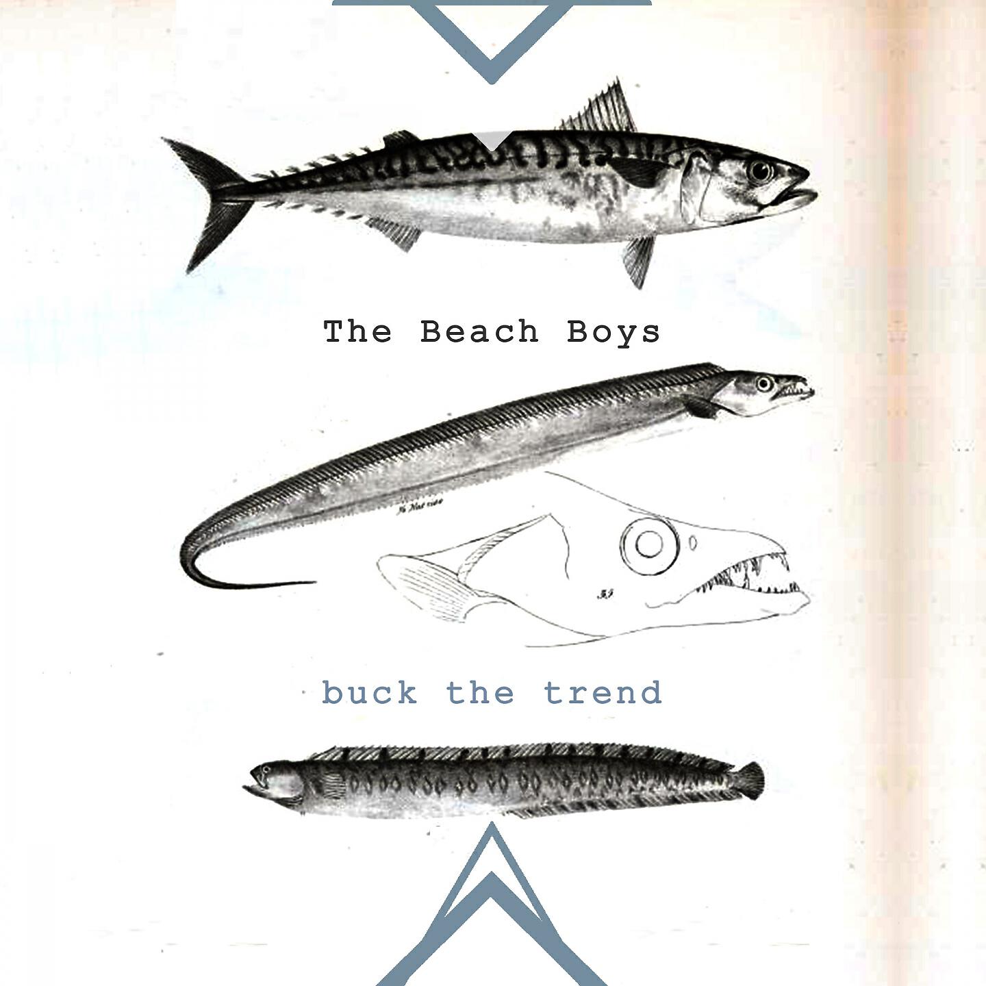 The Beach Boys - South Bay Surfer (The Old Folks at Home)