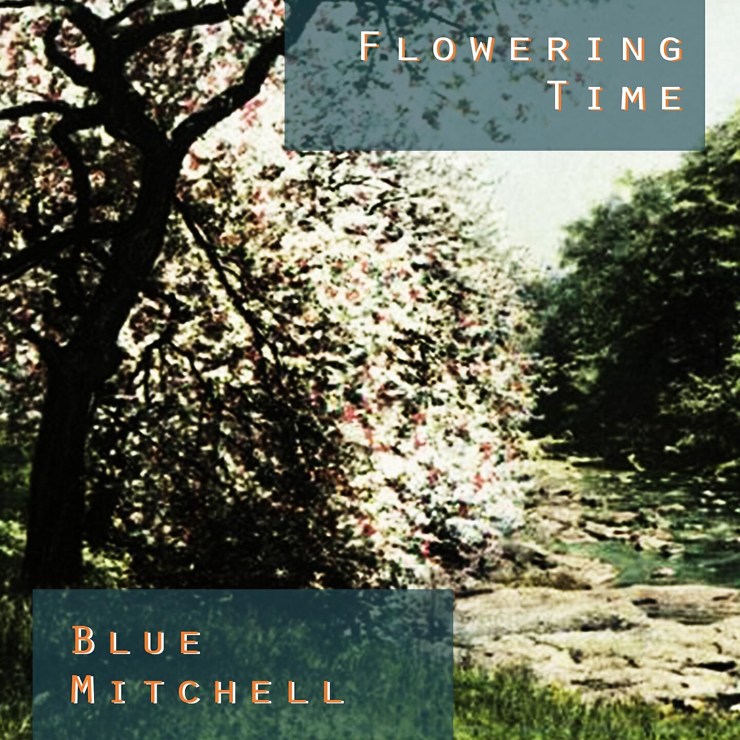 Blue Mitchell - Big Six