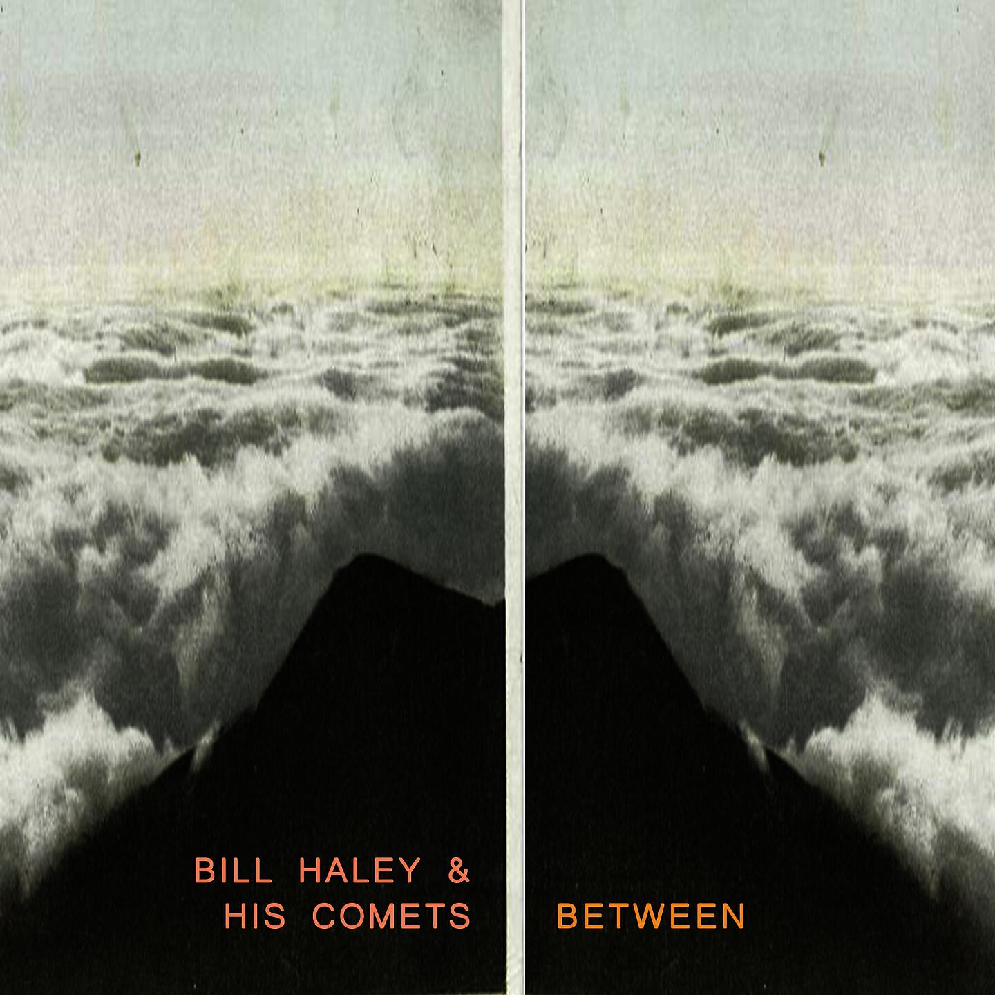 Bill Haley & His Comets - I'll Be With You In Apple Blossom Time