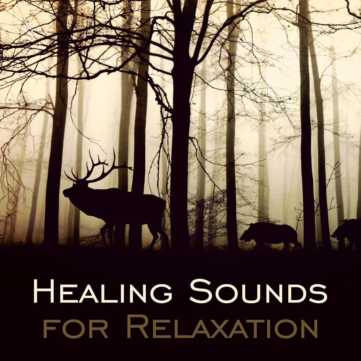 Sounds Of Nature Relaxation - Waves: Calming Sea