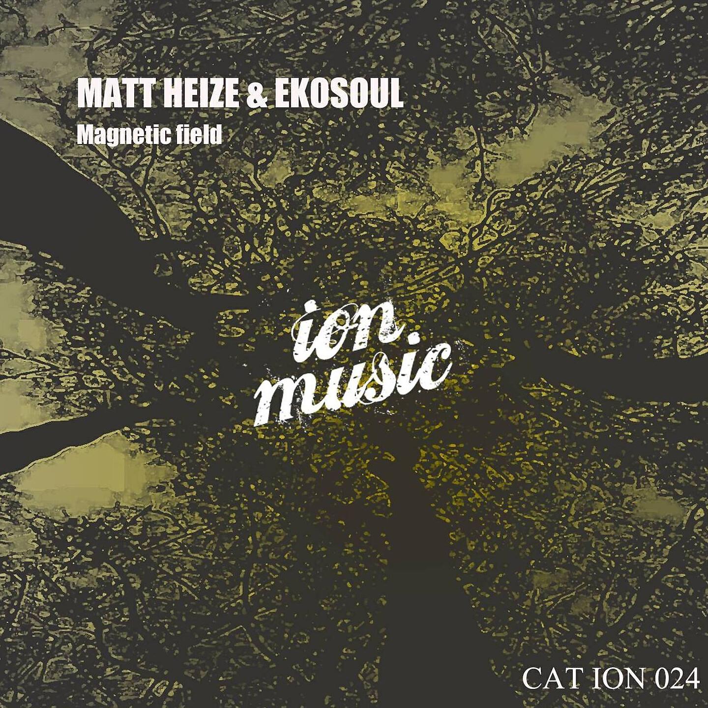 Matt Heize - Magnetic Field