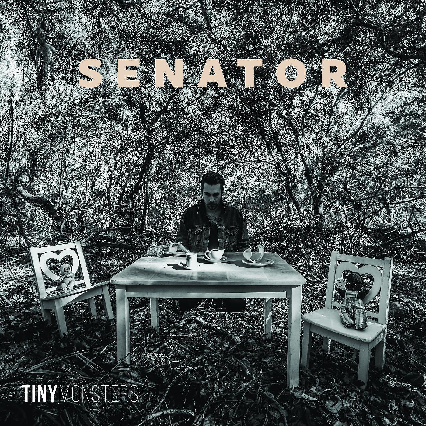 Senator - Lost Again