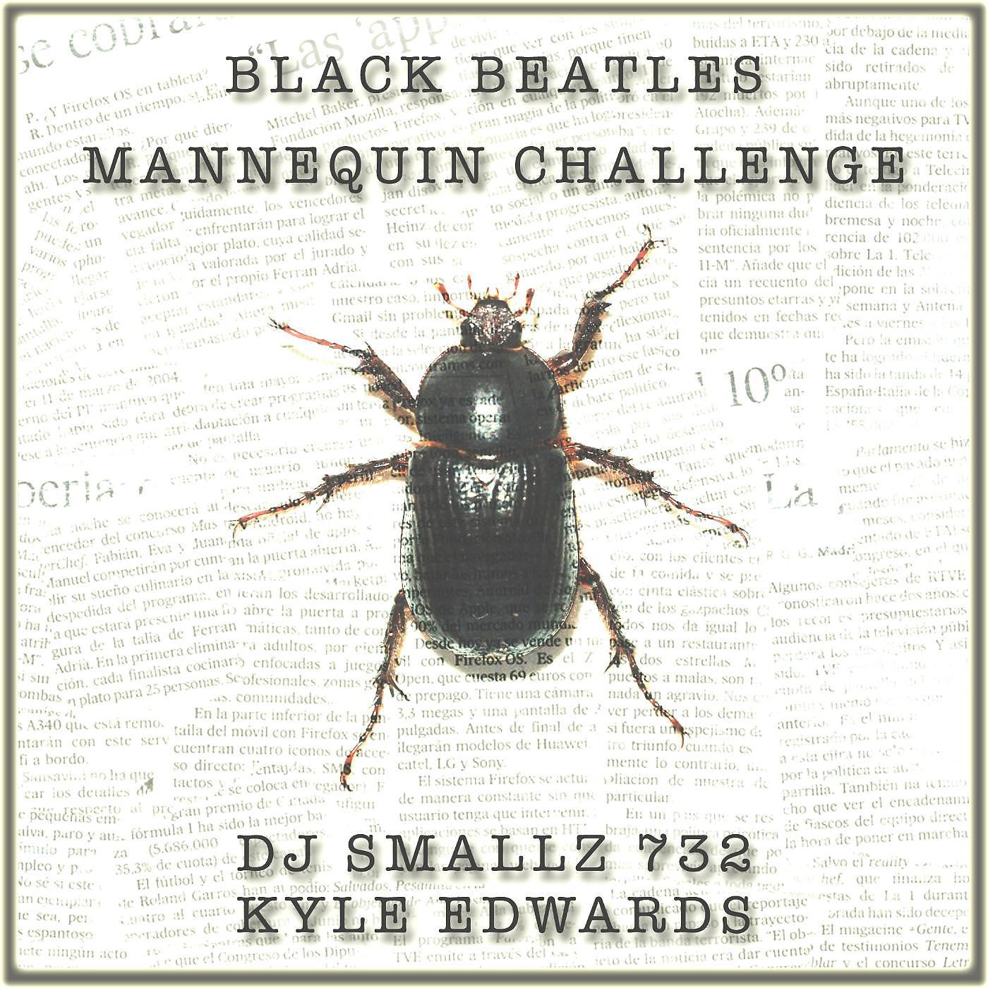 Постер альбома Black Beatles (Mannequin Challenge)
